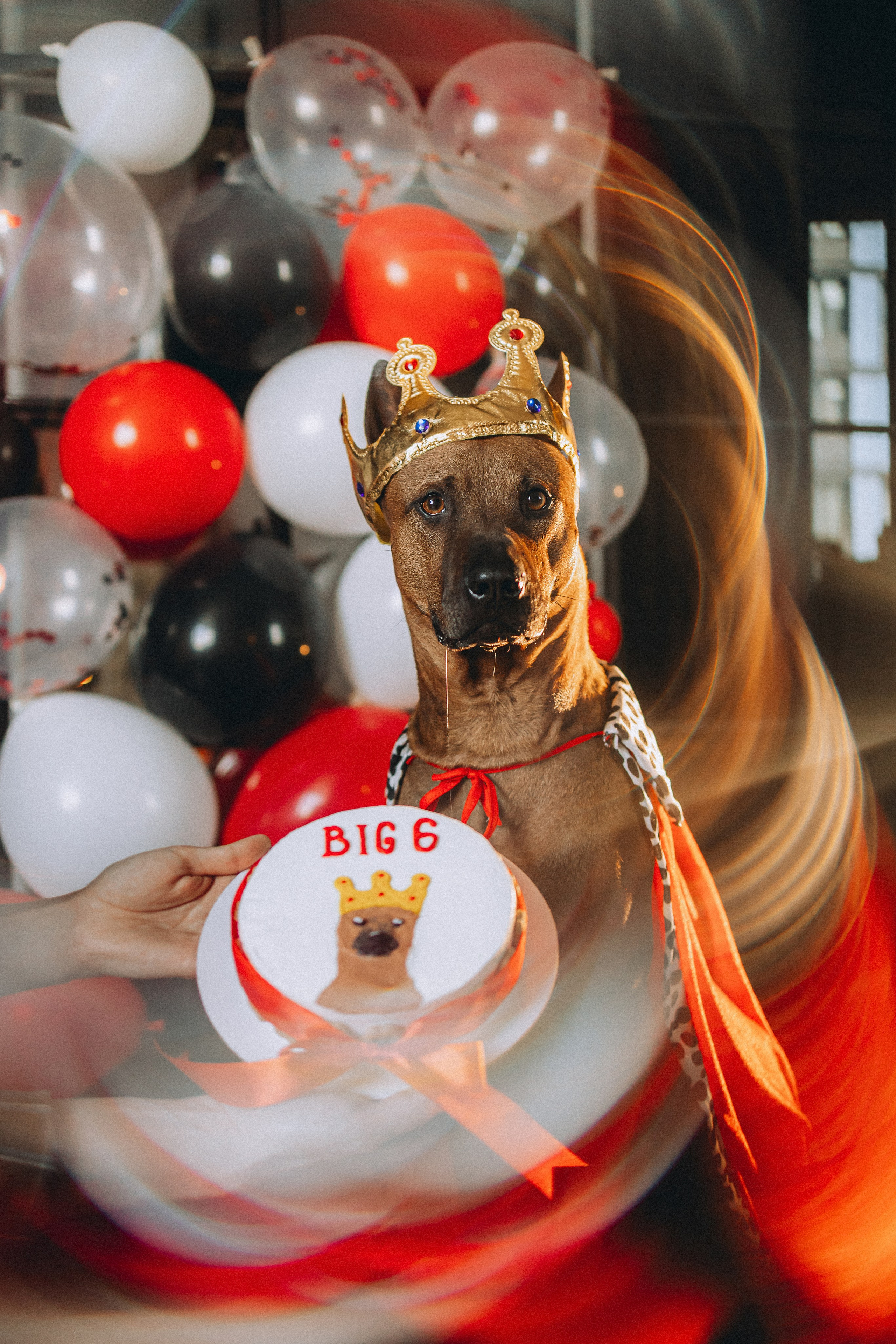 Оксана и Зевс