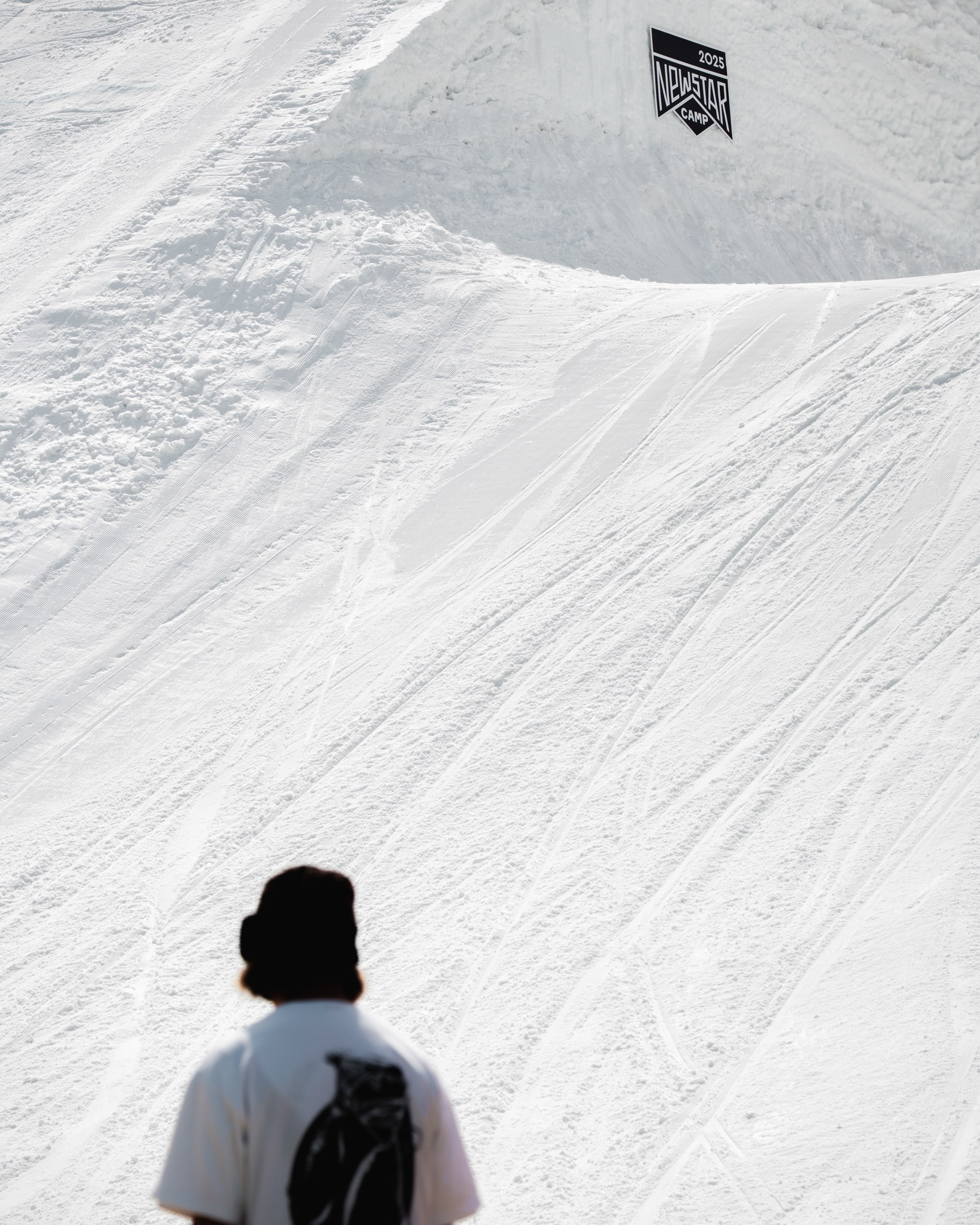 Yandex 360 & NewStarCamp