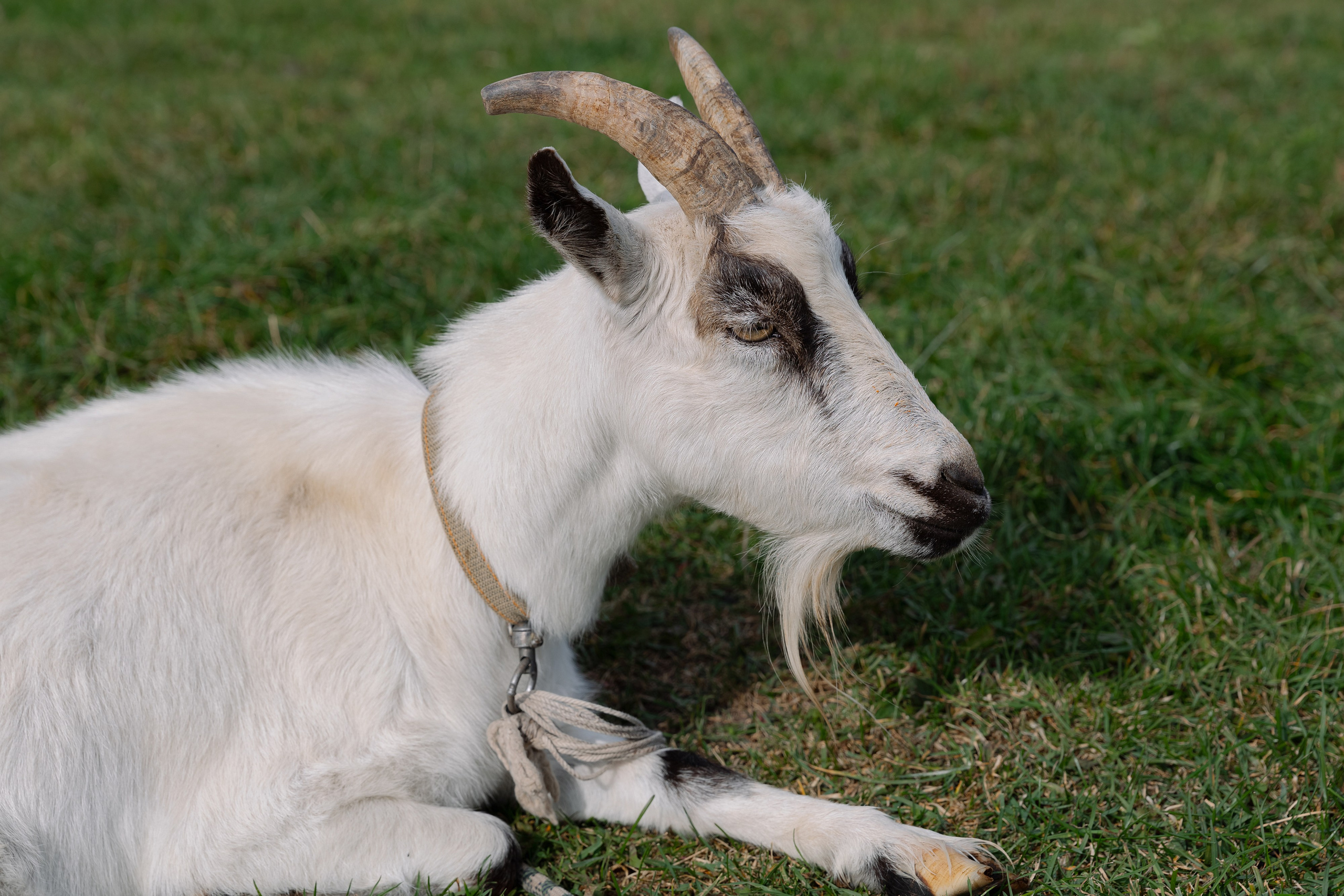 Корпоративная фотосъемка для ОАО Белагропромбанк в Суле в Загородном комплексе Westa. Свадебный фотограф в Минске/Беларуси Сергей Спиридонов