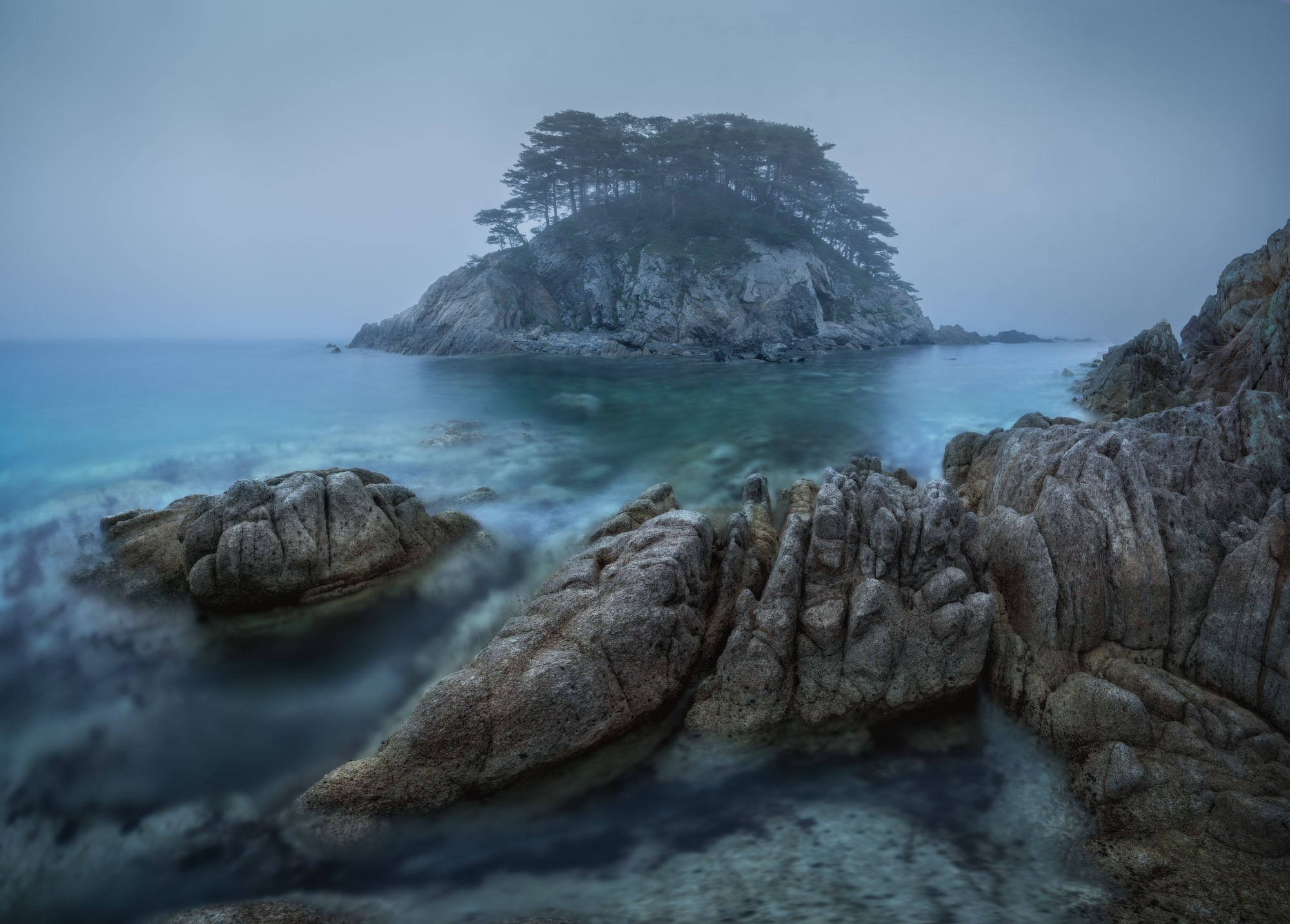 Фотографии Приморье