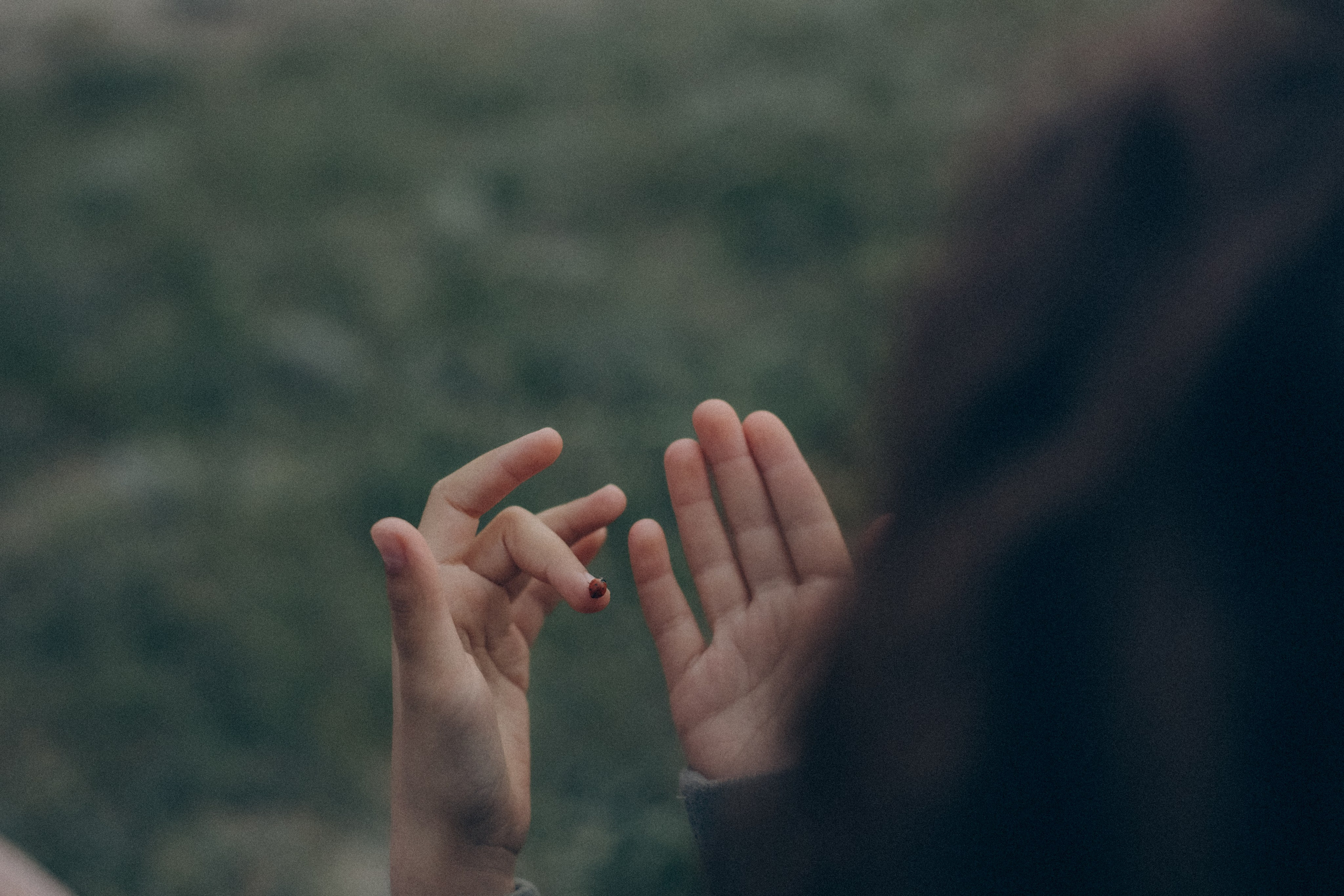 Лена, Ира, Лейла, Ника, Адам и Ария. Семейный фотограф Анапа