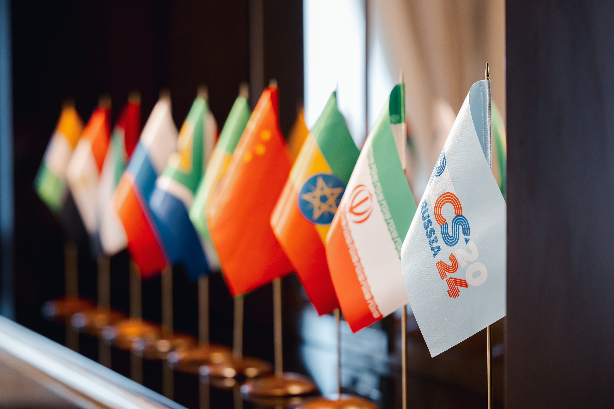 БРИКС ФНС. Parezhevphoto.ru