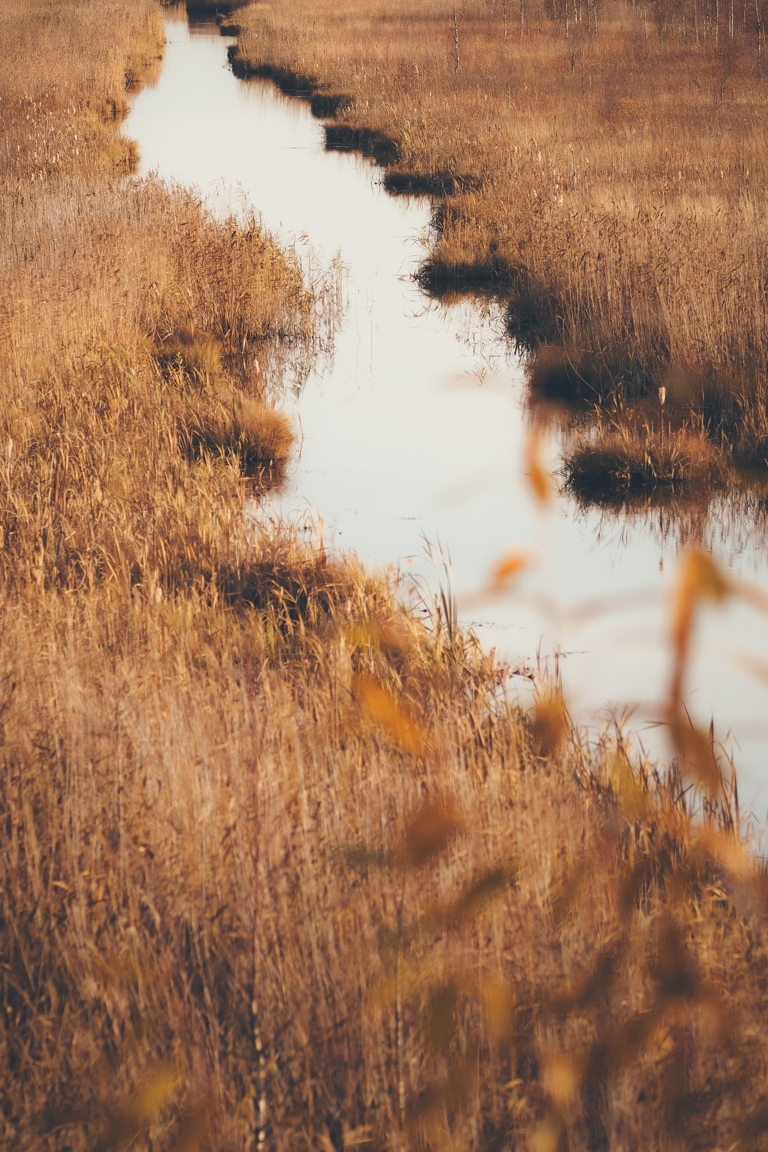 Раковые озера. Свадебный фотограф Копков Геннадий