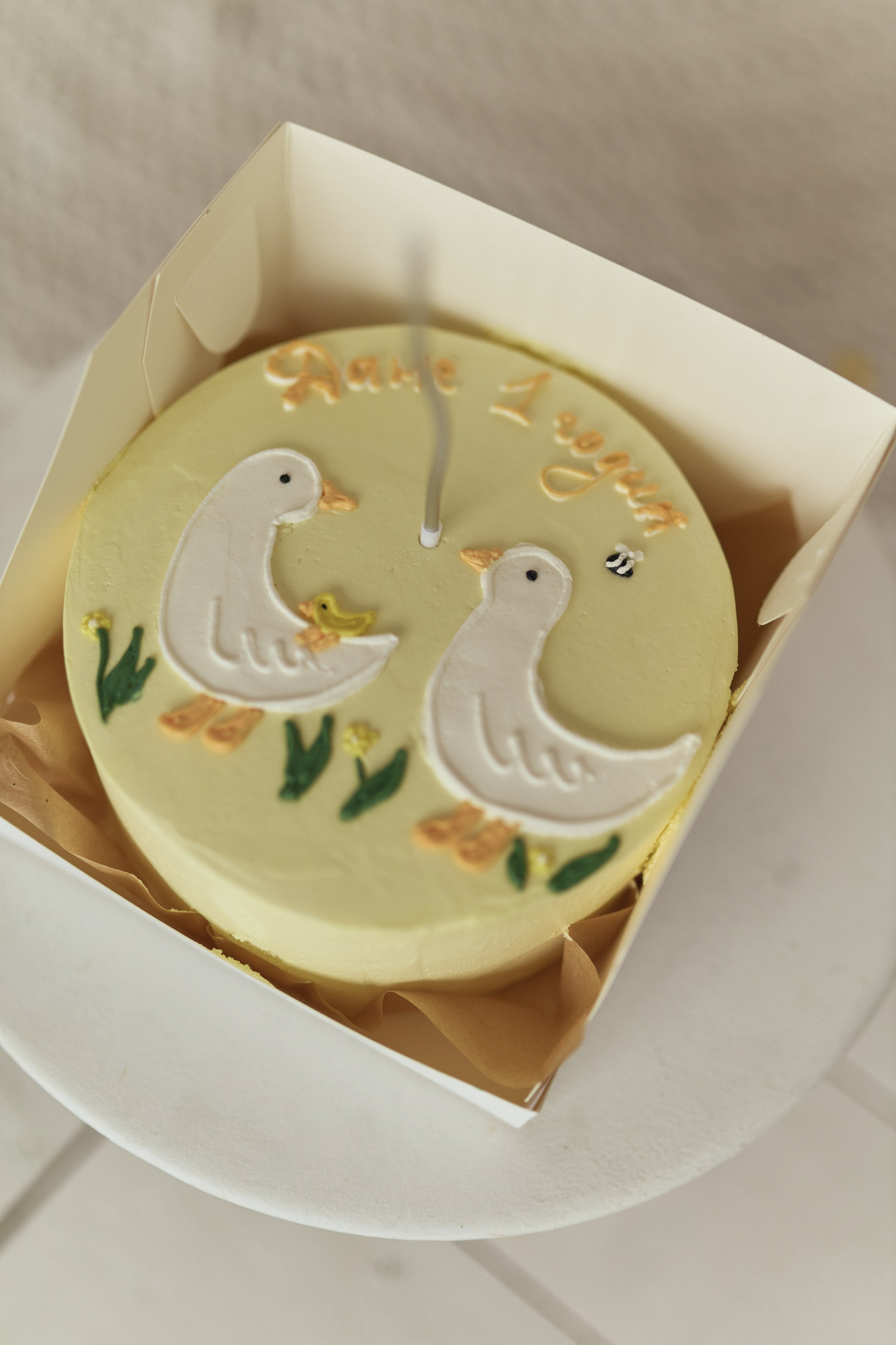 Семейная фотосессия в фотостудии. Алина Каравайцева. Фотограф в городе Барнаул