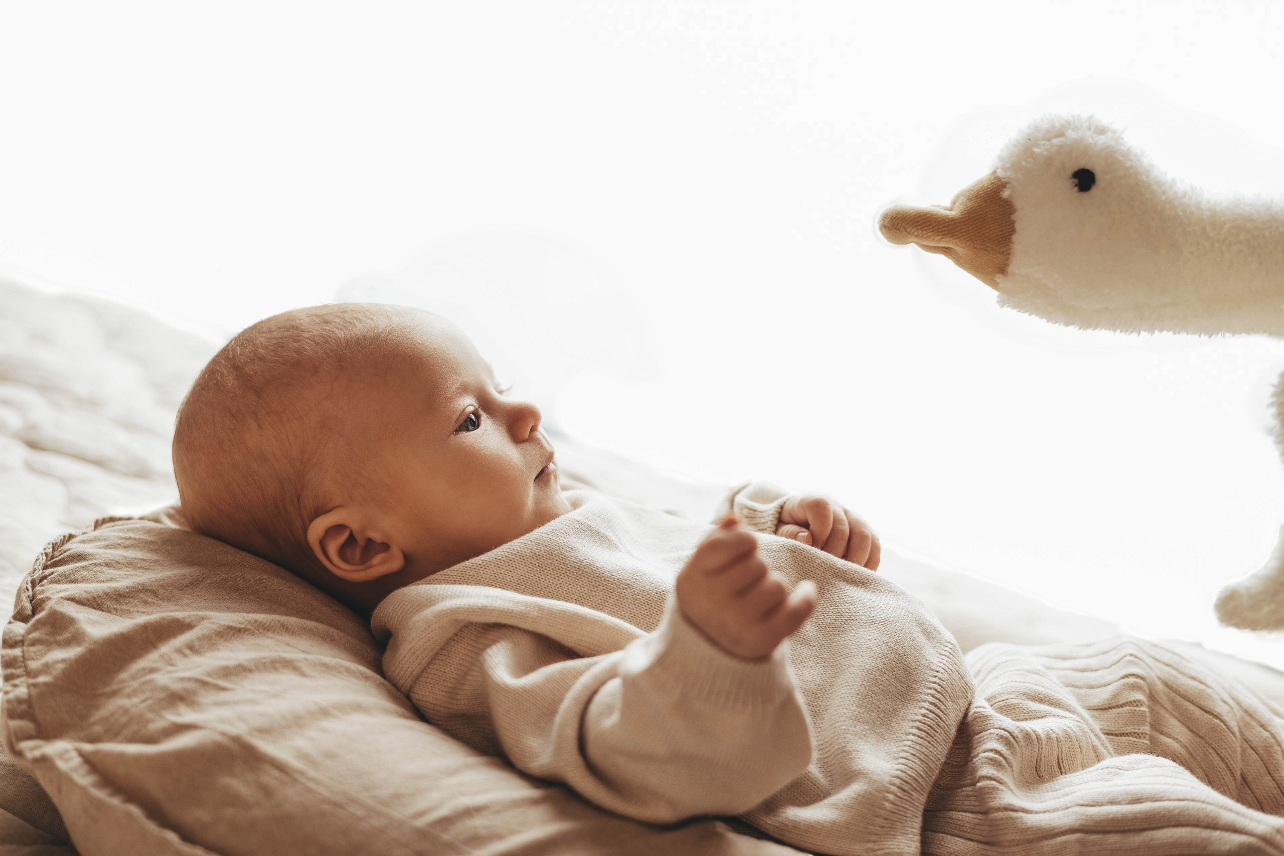 Мия. Фотограф новорожденных в Санкт-Петербурге Екатерина Иванова