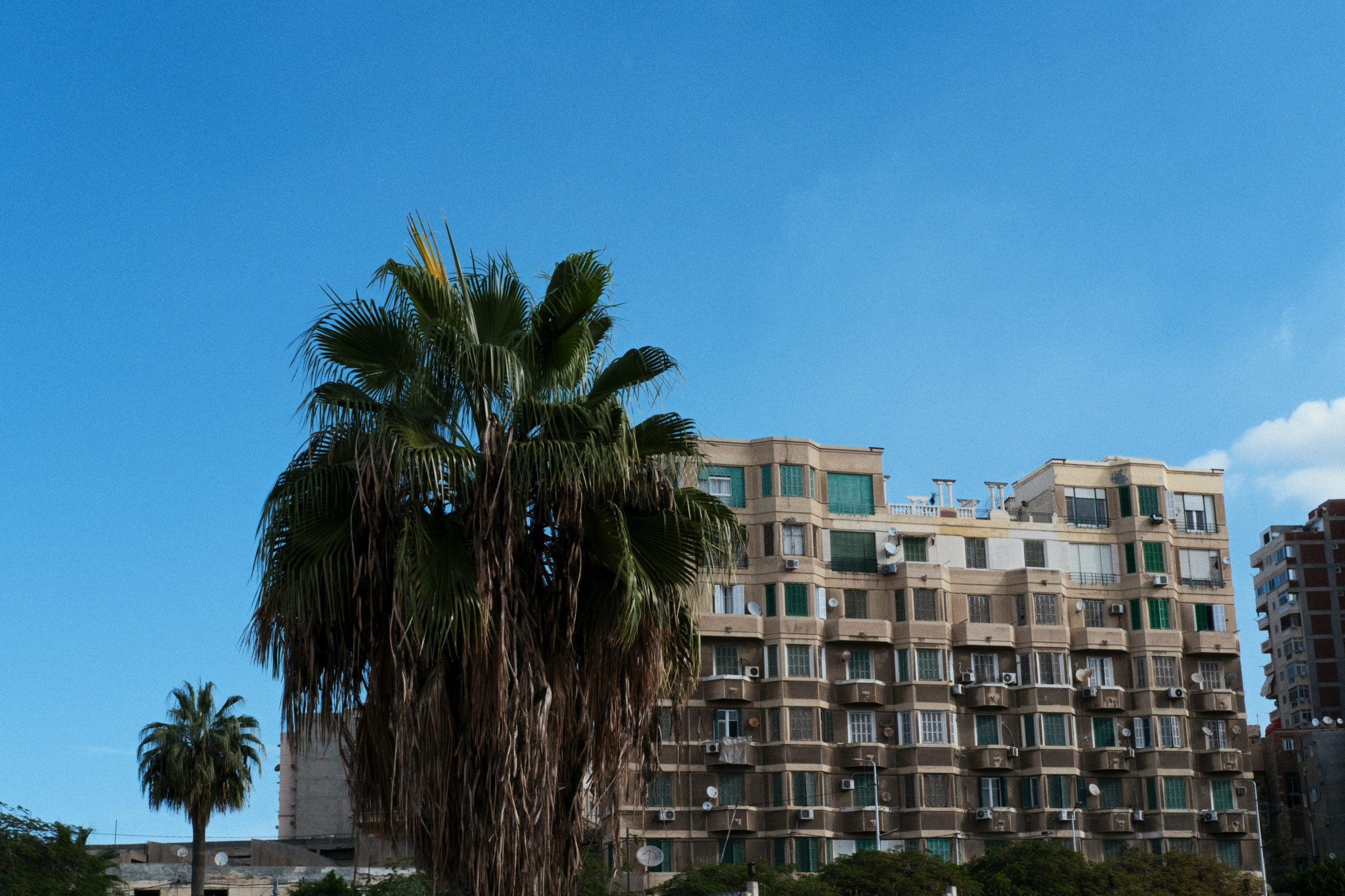 Alexandria / Egypt AW25. Фотограф Юрин Евгений