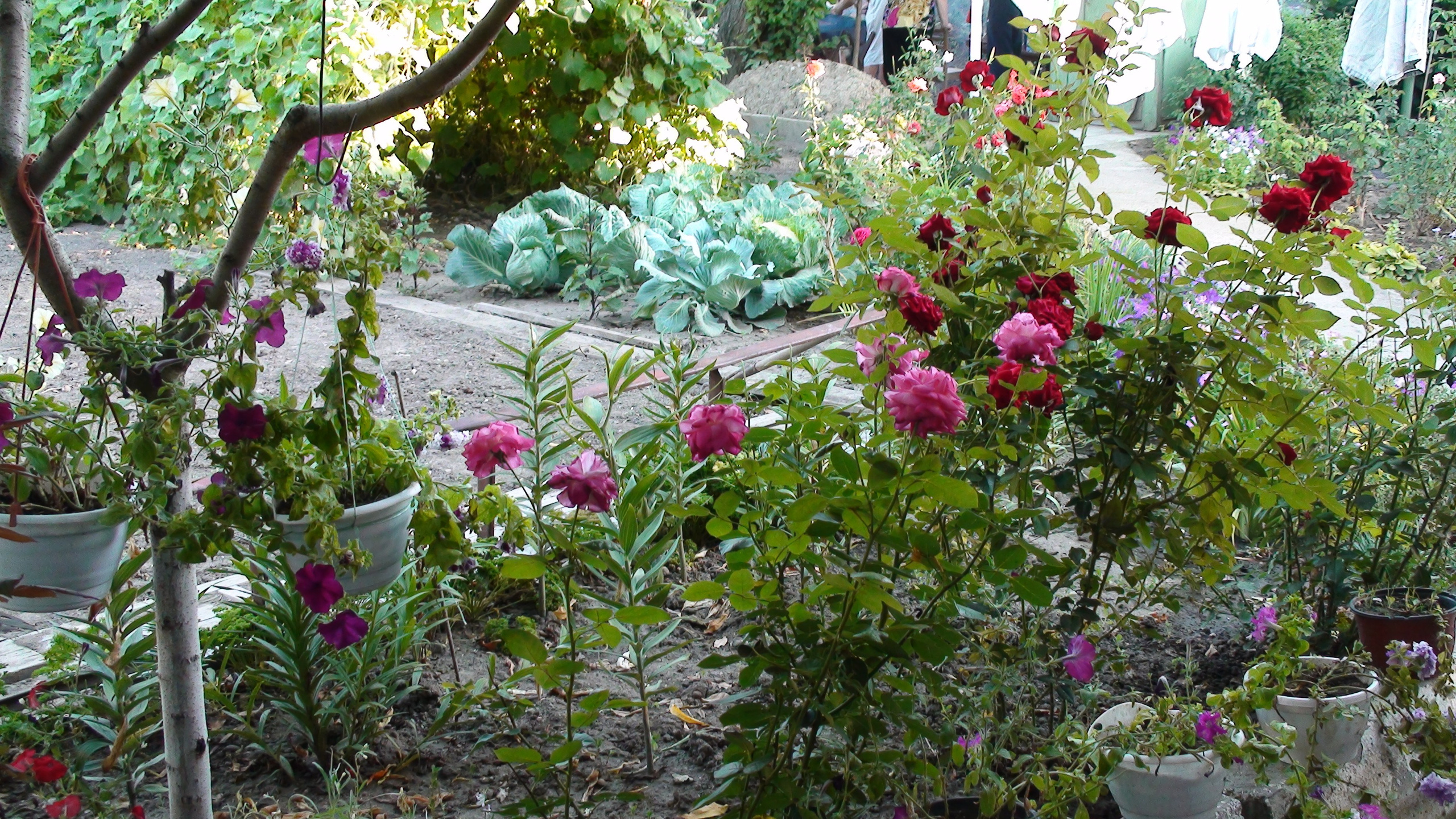 Отпуск с Видеокамеры. Семейный, Свадебный фотограф СПБ Питер— Романова Екатерина