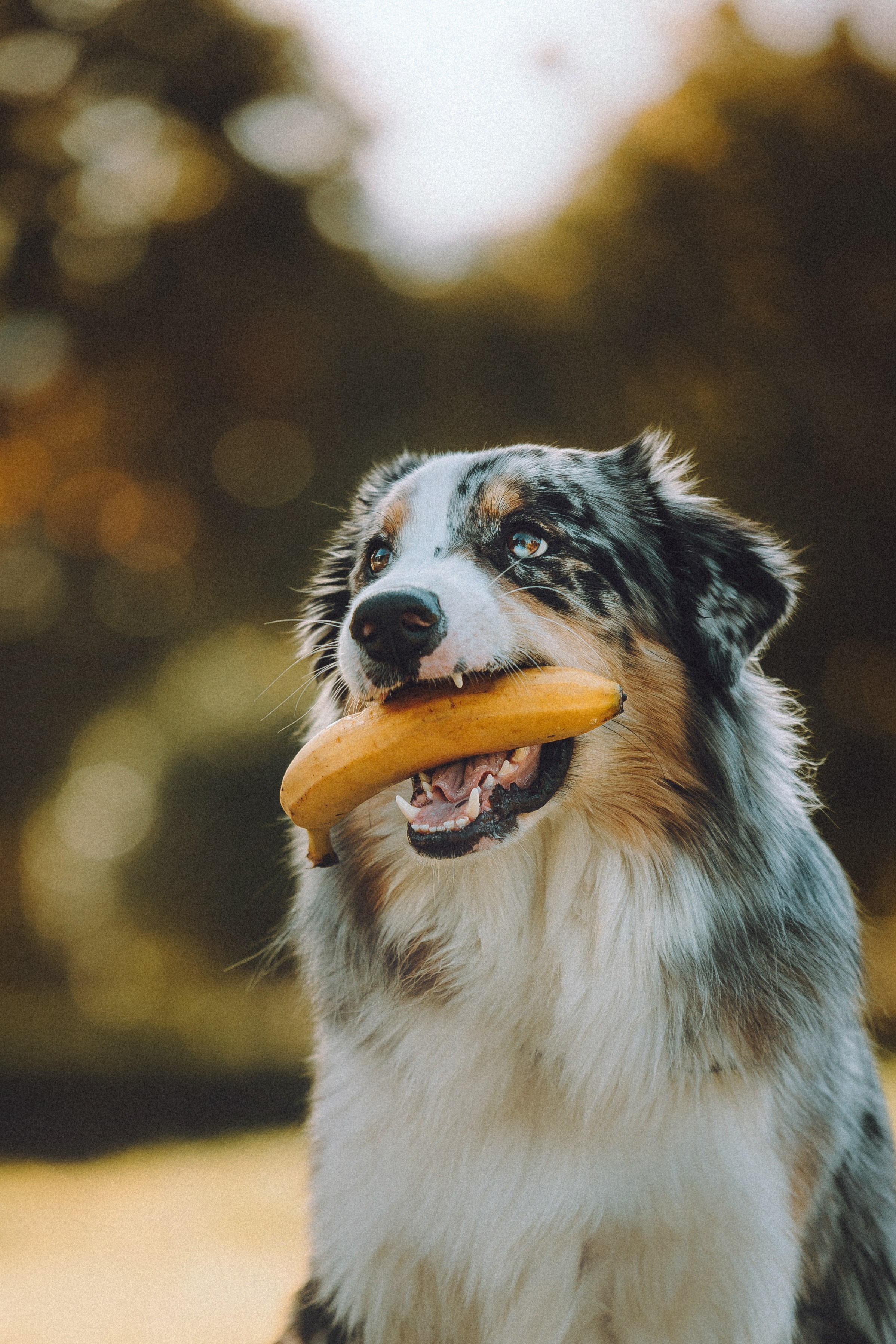 Саша, Рома и Один