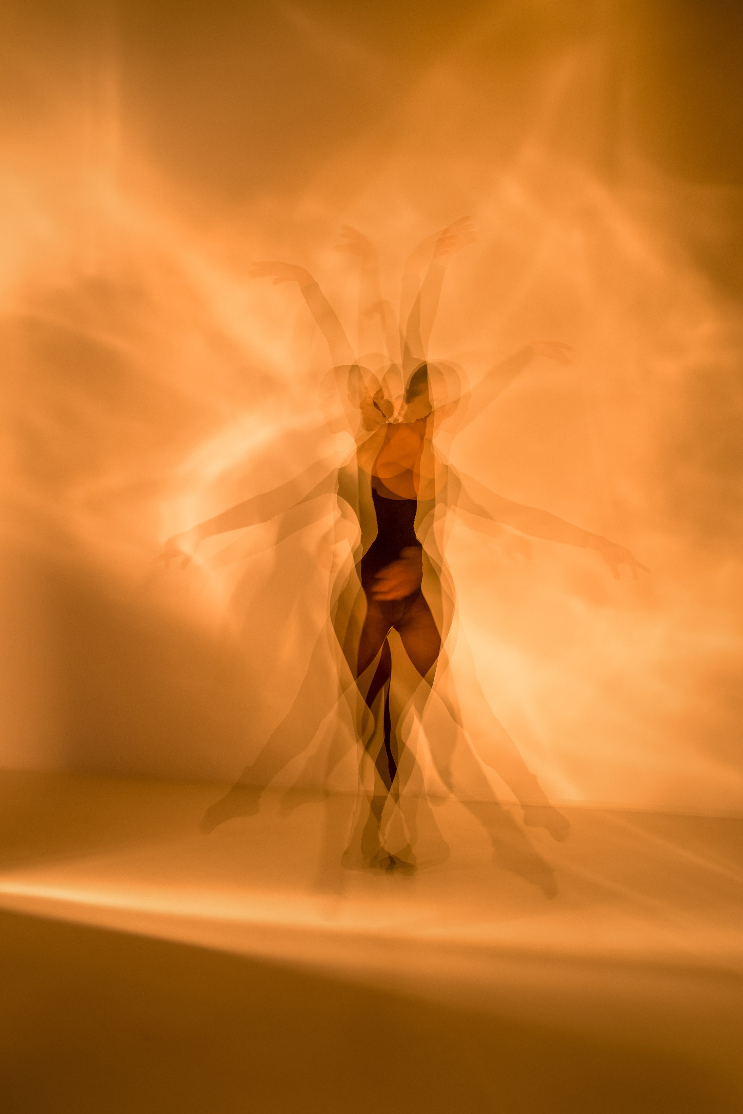 Лилия. Художественная фотография