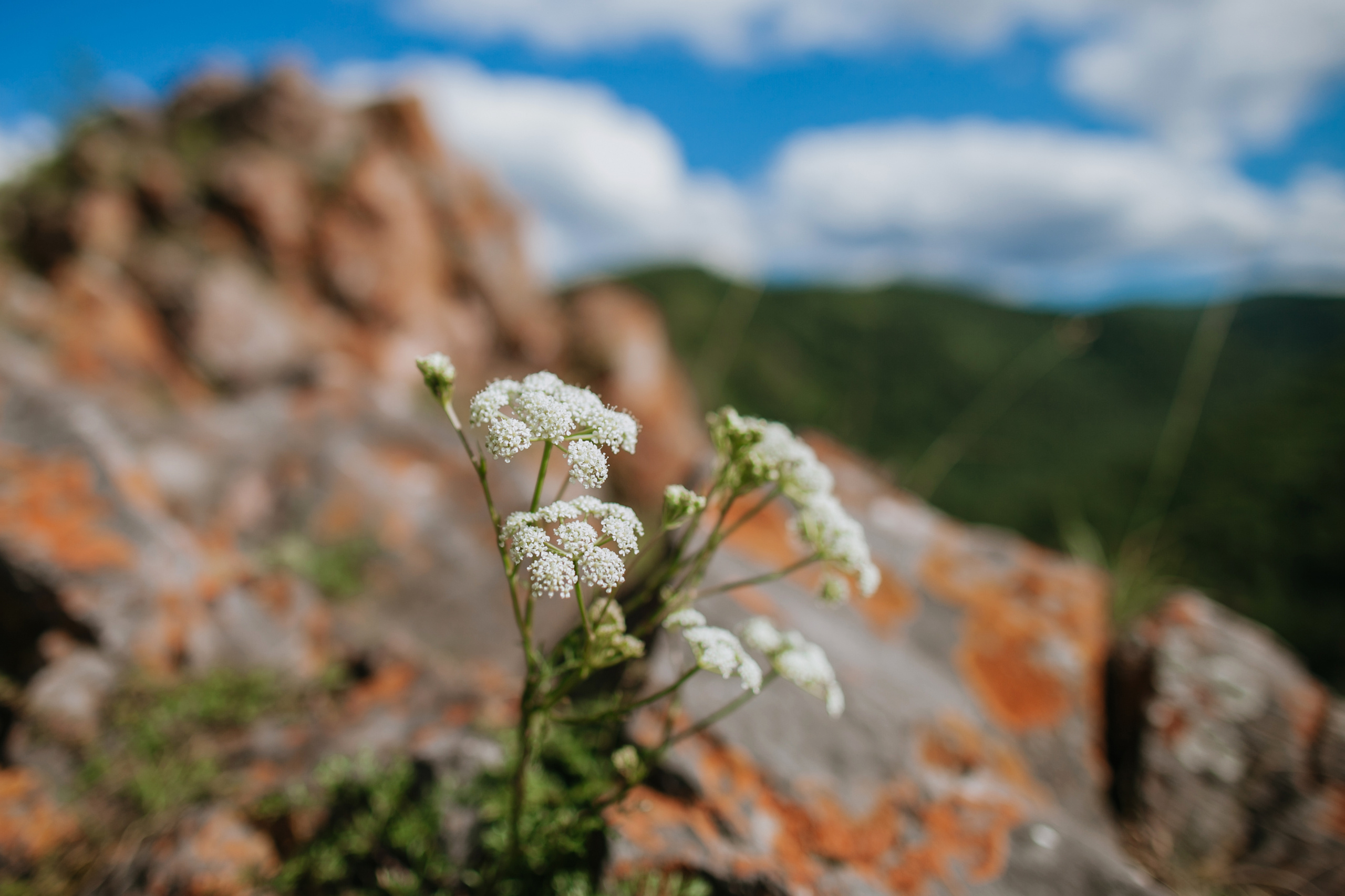 Виталий и Яна. Фотограф Москва, Санкт-Петербург, Абакан