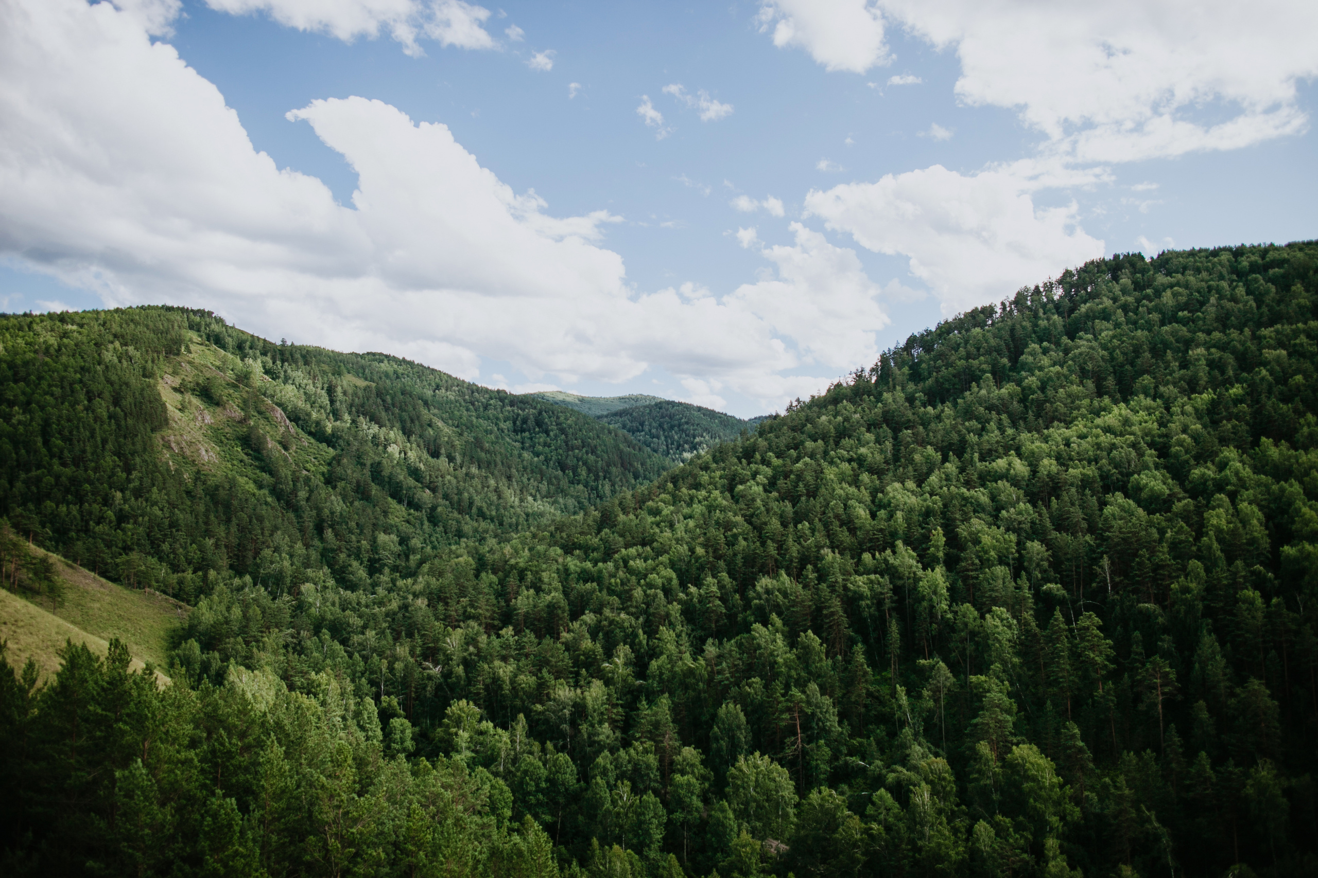 Виталий и Яна. Фотограф Москва, Санкт-Петербург, Абакан