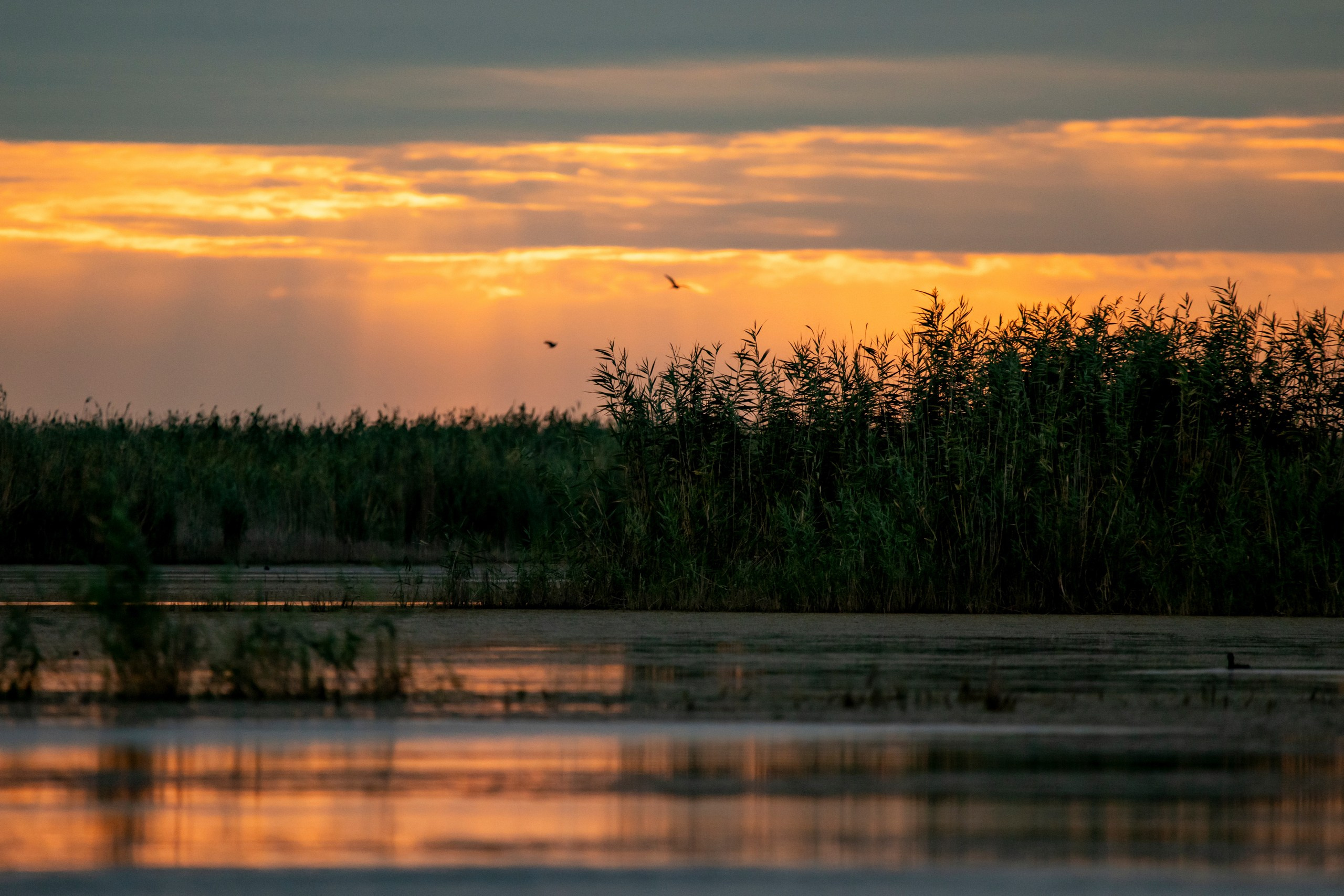 Природа Дагестана, сентябрь 2024. Foto-Zuev фотография как искусство