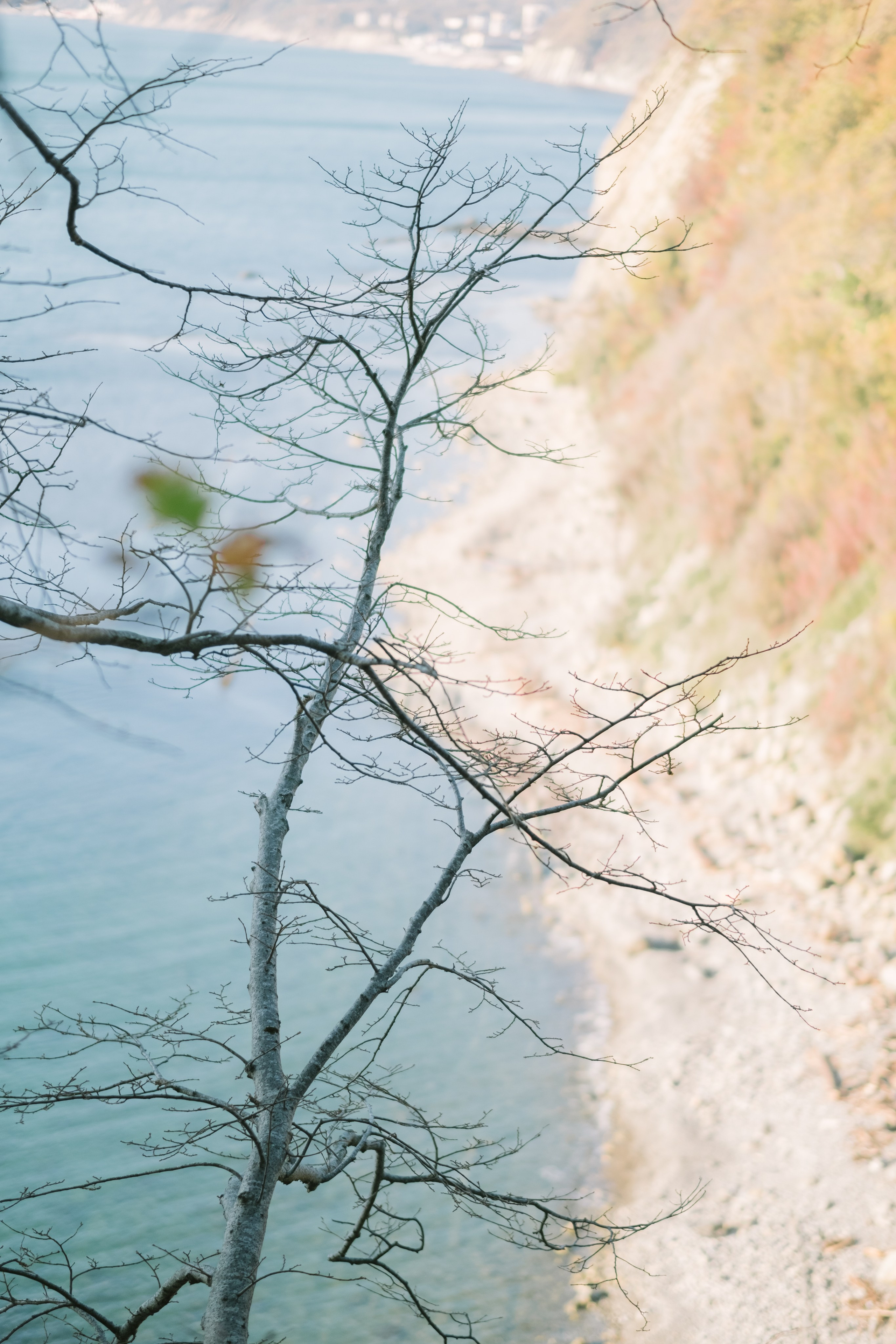 Туапсе. Свадебный Видеограф Фотограф в Сочи
