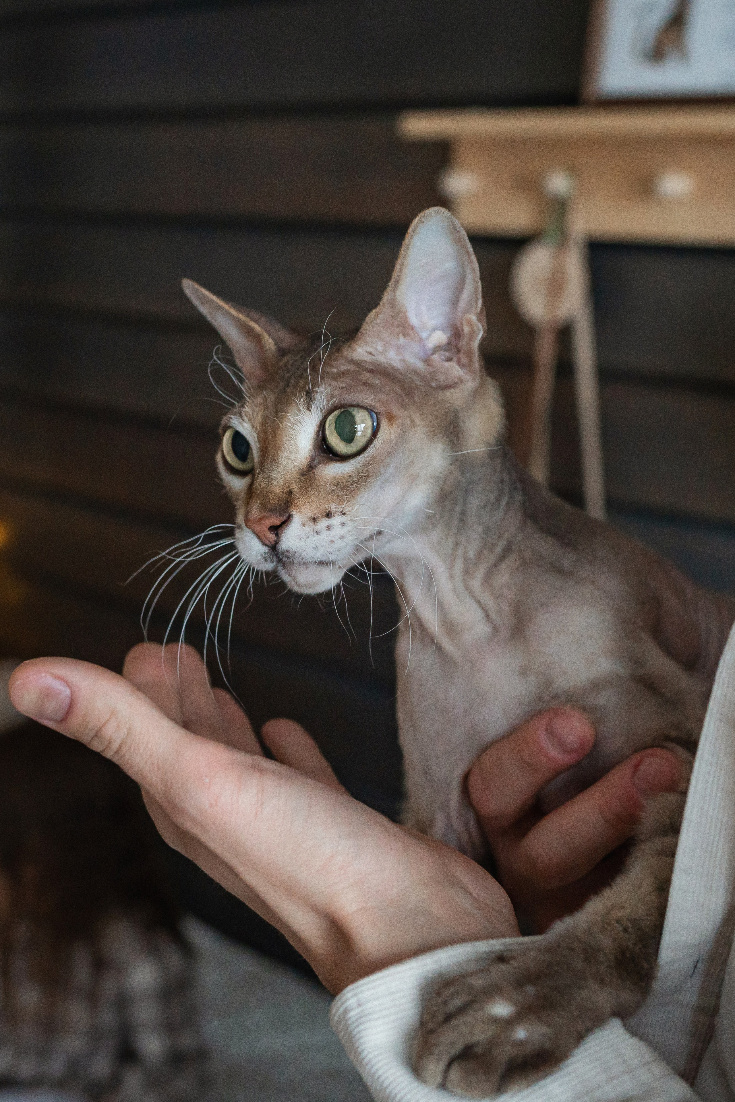 Фотограф Благовещенск Анна Емельянова