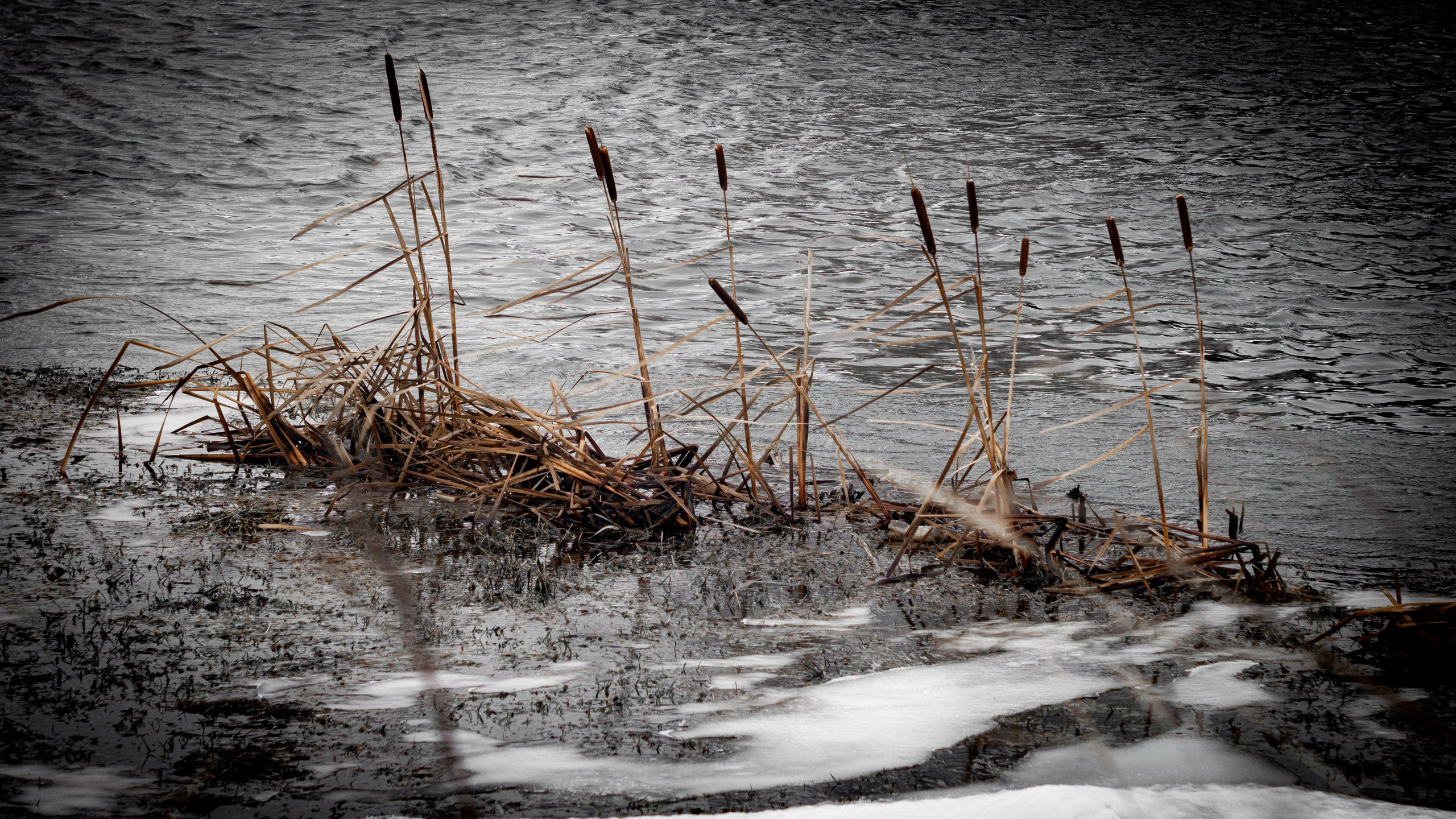 Дача. ПОБУДЬ ЗДЕСЬ И ЦЕЛЕЕ БУДЕТ ЭТОТ МИР
