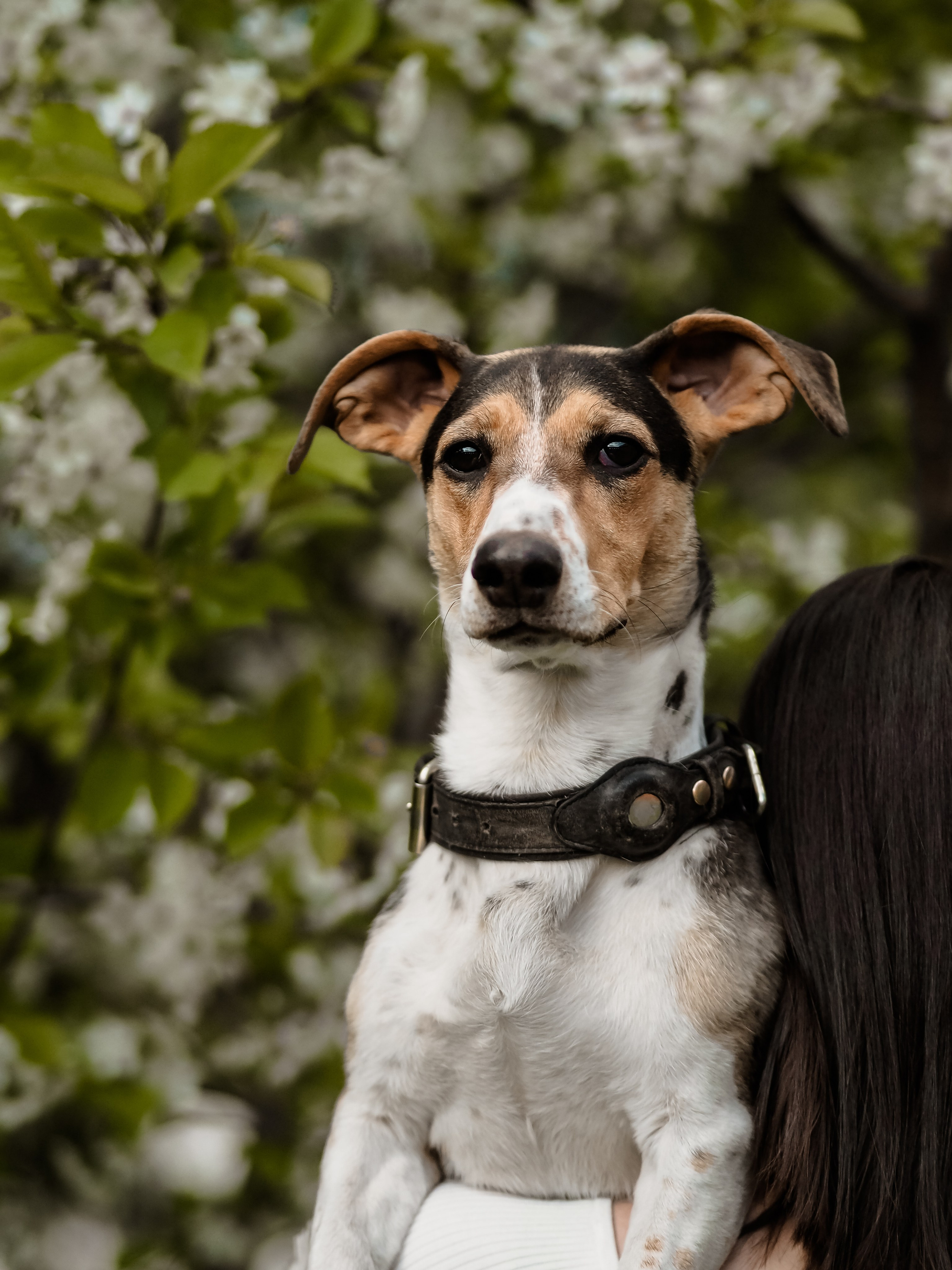 История. Фотограф Рязань. Семейный Свадебный фотограф