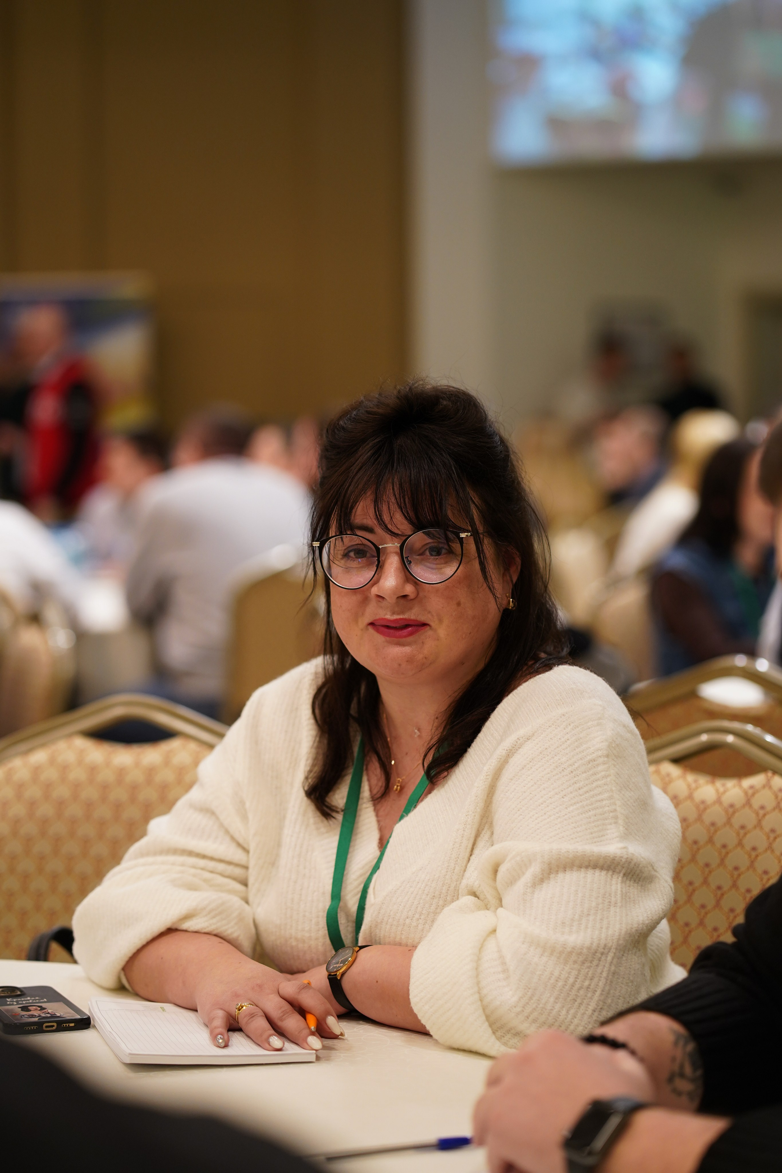 Малоэтажная страна конференция. Фотограф