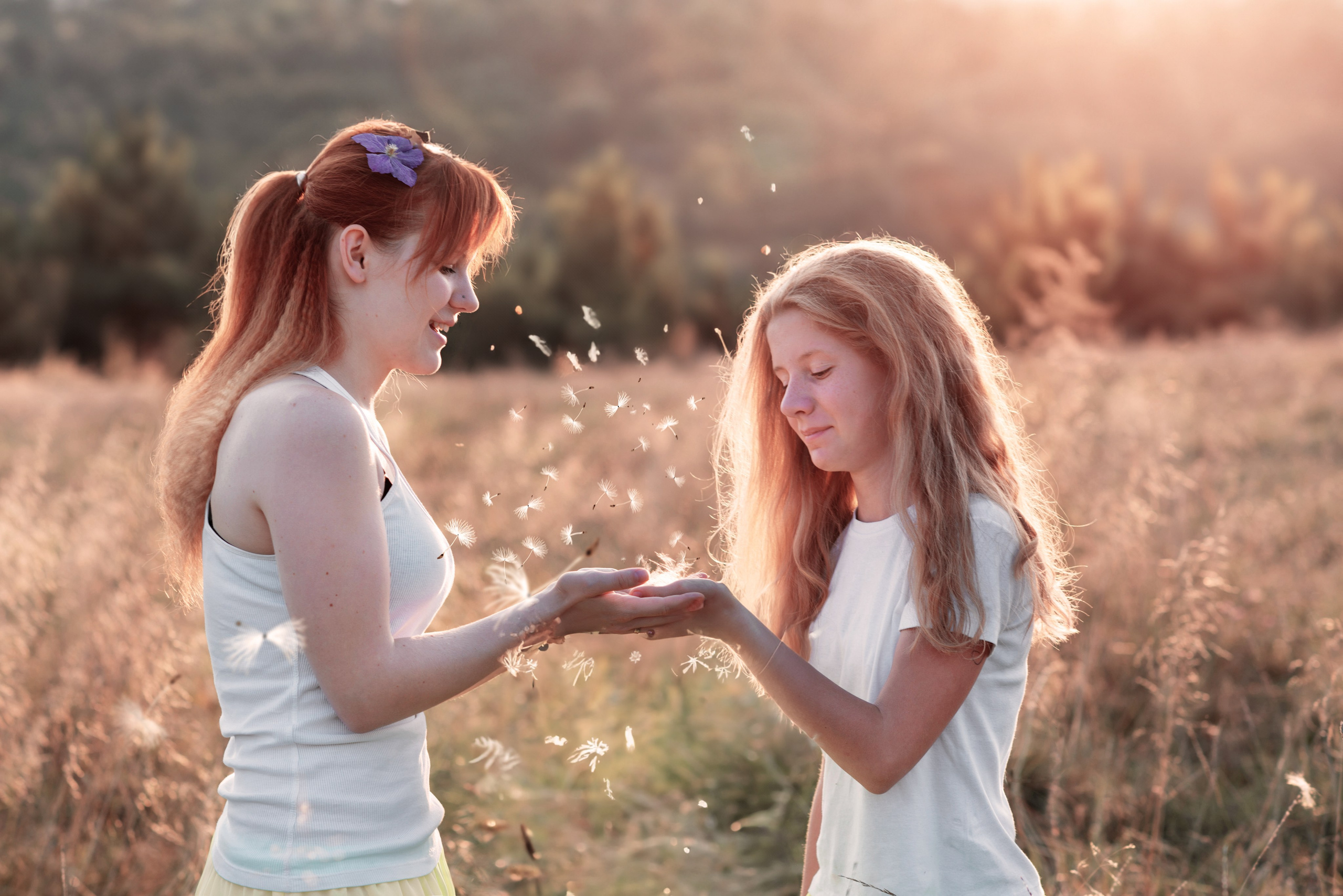 Две девочки в лучах закатного солнца стоят среди поля и держат в ладонях разлетающиеся от ветра пушинки с  семенами цветов