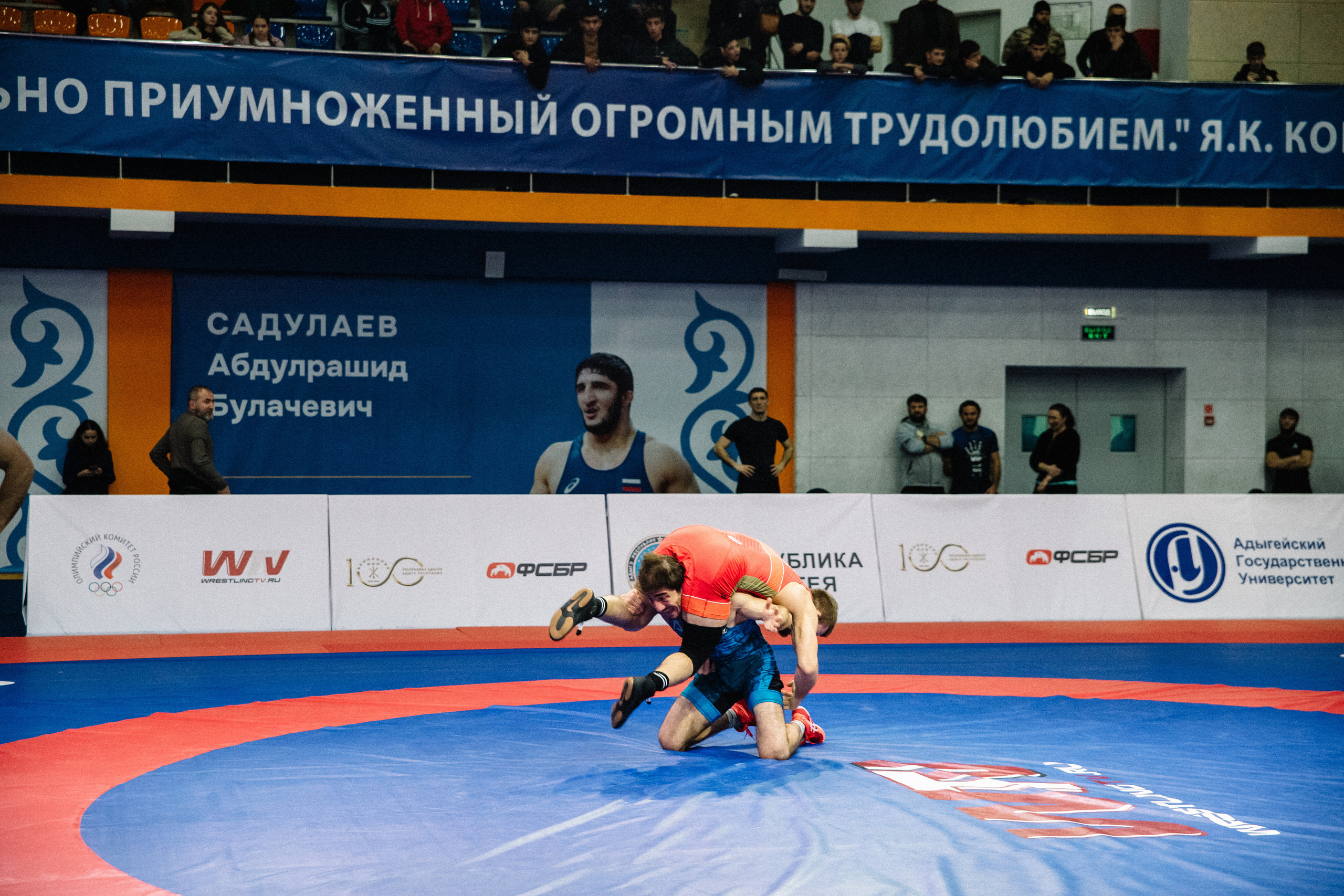 Кубок России по вольной борьбе среди мужчин | Майкоп 2022. Семейный и свадебный фотограф в Майкопе Михаил Мартиросян