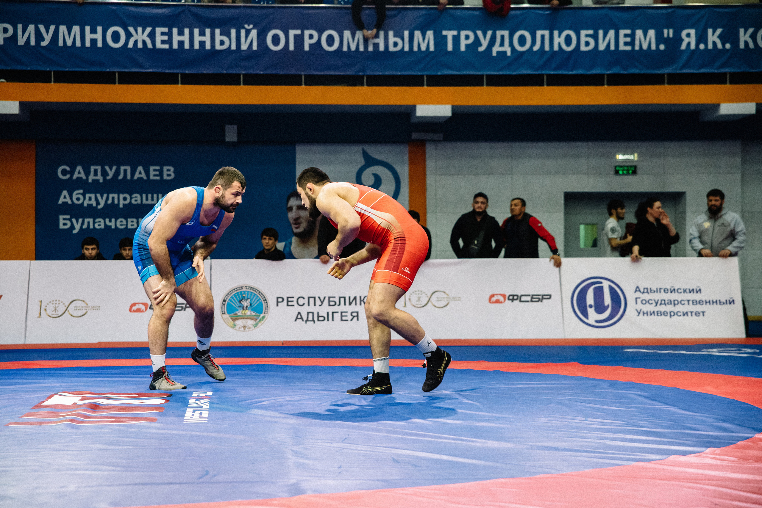 Кубок России по вольной борьбе среди мужчин | Майкоп 2022. Семейный и свадебный фотограф в Майкопе Михаил Мартиросян