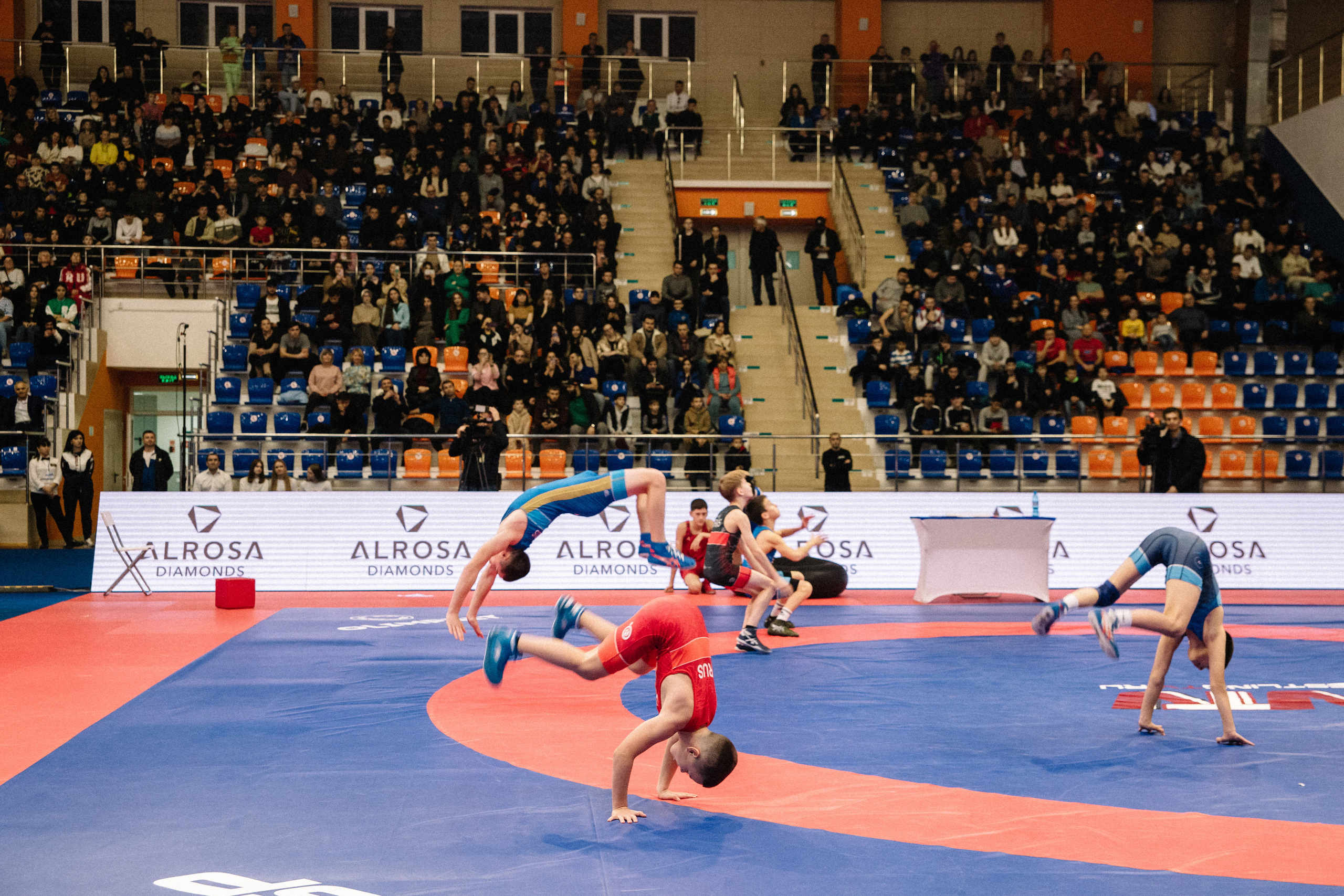 Кубок России по вольной борьбе среди мужчин | Майкоп 2022. Семейный и свадебный фотограф в Майкопе Михаил Мартиросян