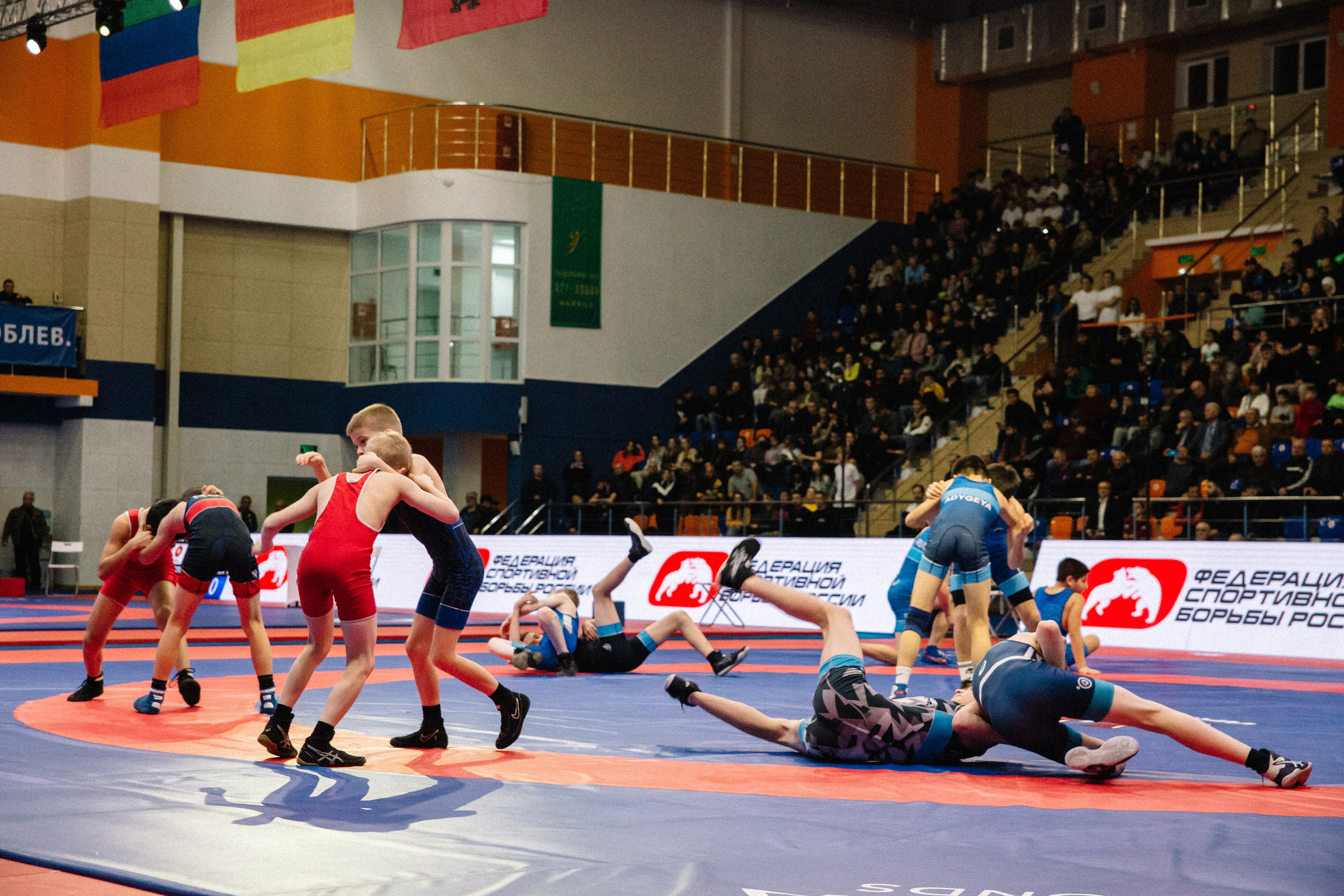 Кубок России по вольной борьбе среди мужчин | Майкоп 2022. Семейный и свадебный фотограф в Майкопе Михаил Мартиросян