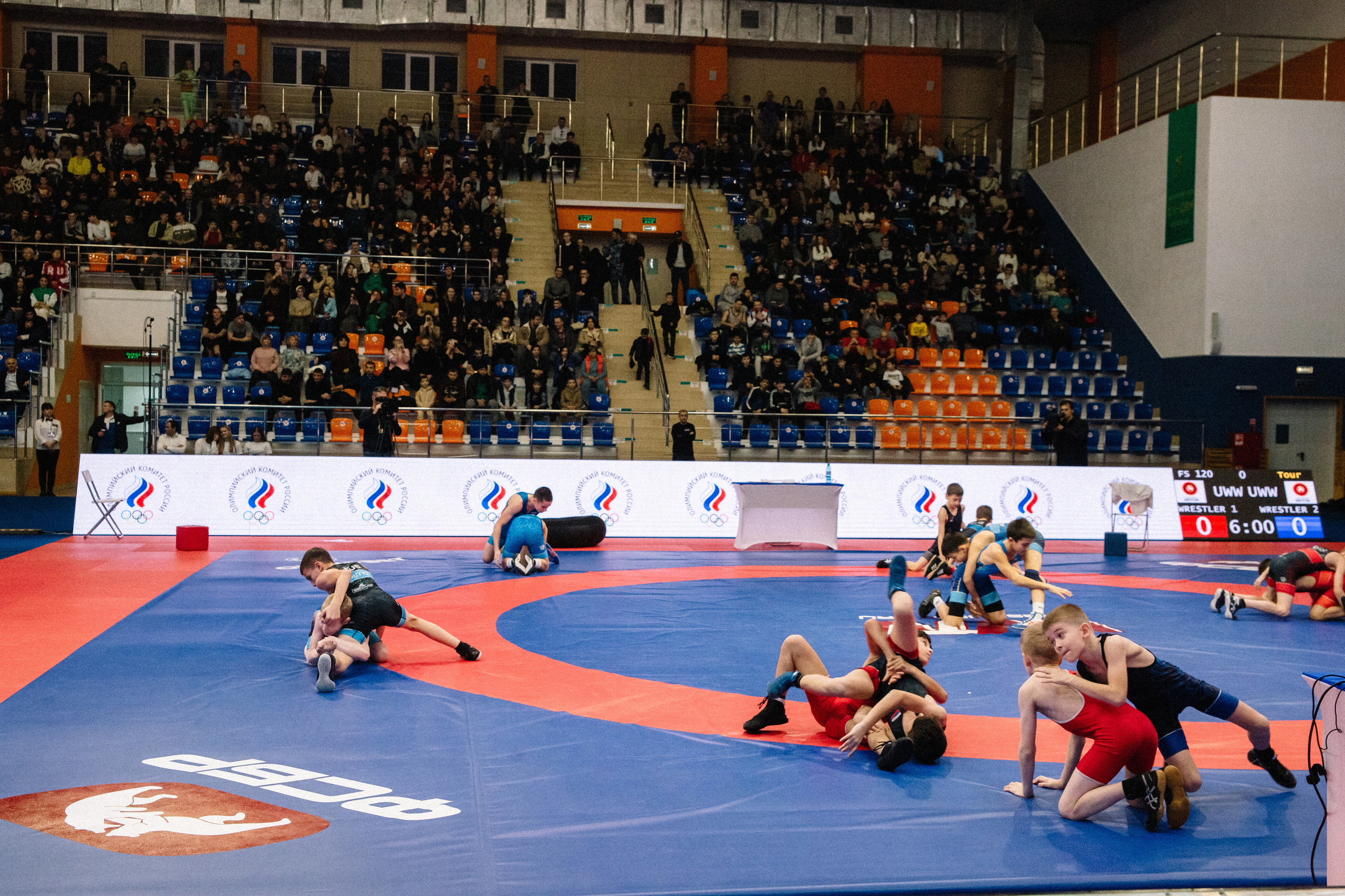 Кубок России по вольной борьбе среди мужчин | Майкоп 2022. Семейный и свадебный фотограф в Майкопе Михаил Мартиросян