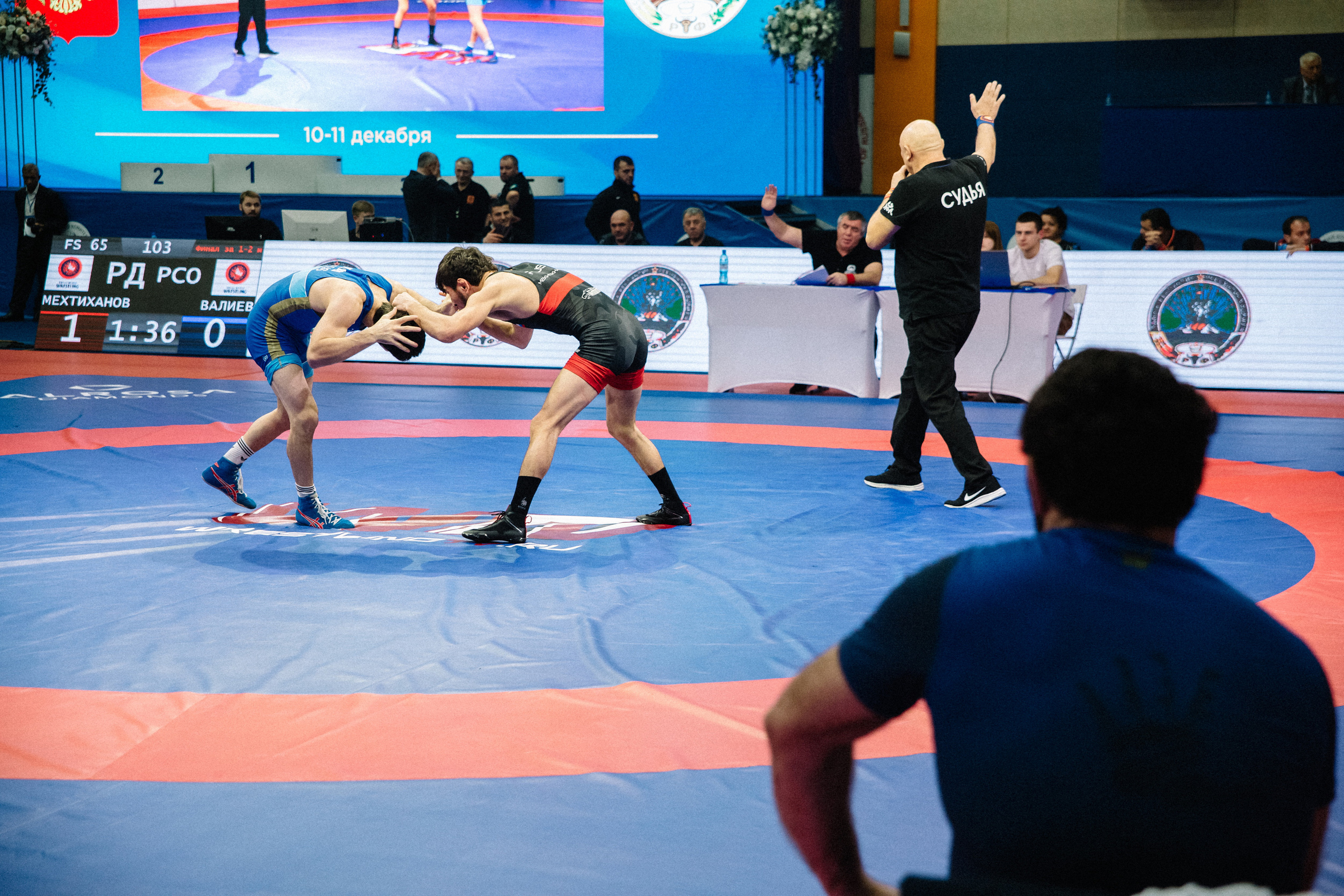 Кубок России по вольной борьбе среди мужчин | Майкоп 2022. Семейный и свадебный фотограф в Майкопе Михаил Мартиросян