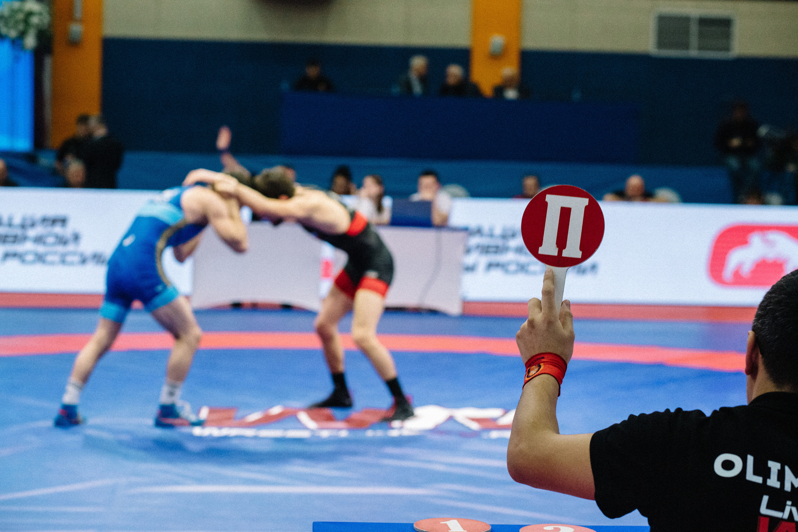 Кубок России по вольной борьбе среди мужчин | Майкоп 2022. Семейный и свадебный фотограф в Майкопе Михаил Мартиросян