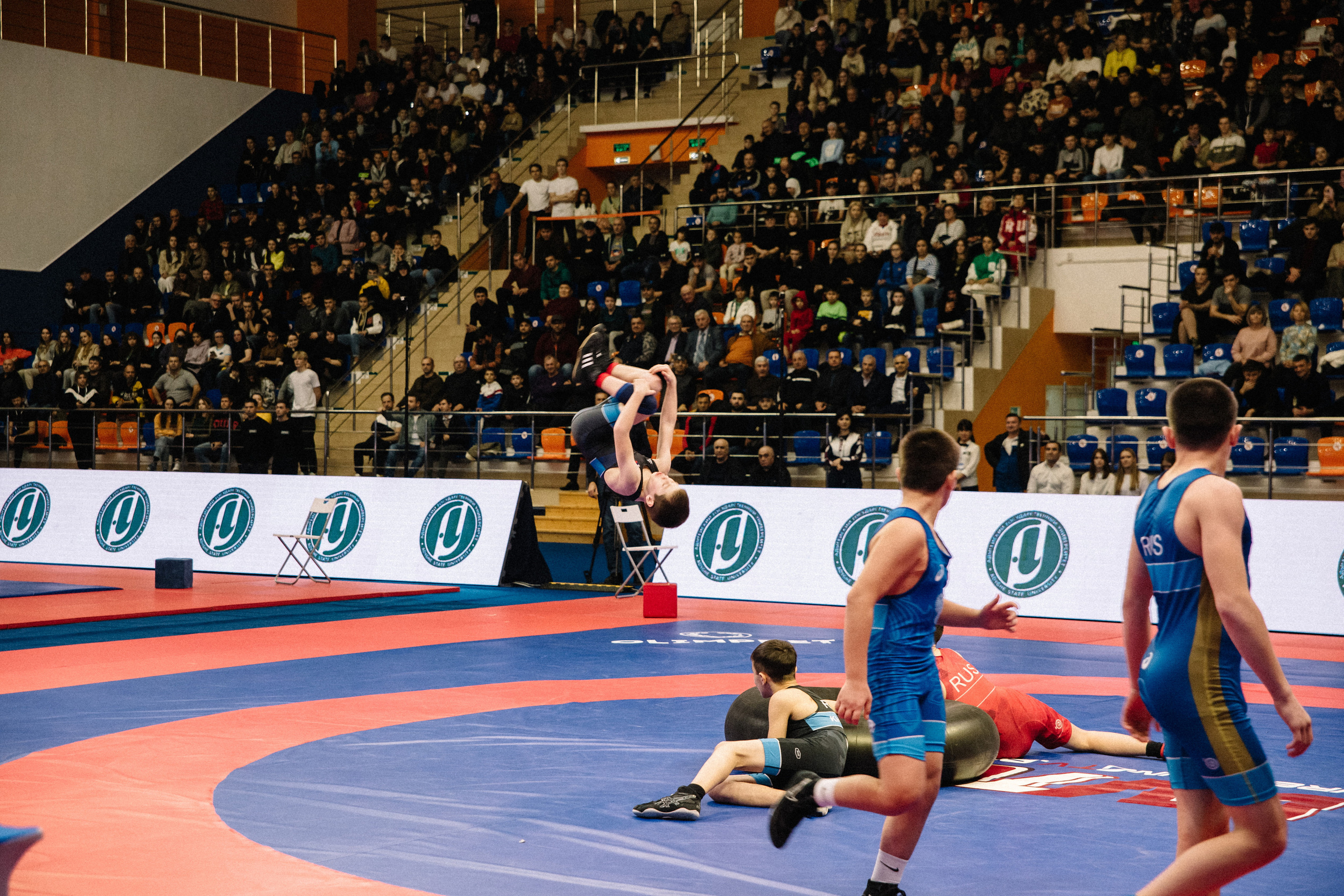 Кубок России по вольной борьбе среди мужчин | Майкоп 2022. Семейный и свадебный фотограф в Майкопе Михаил Мартиросян