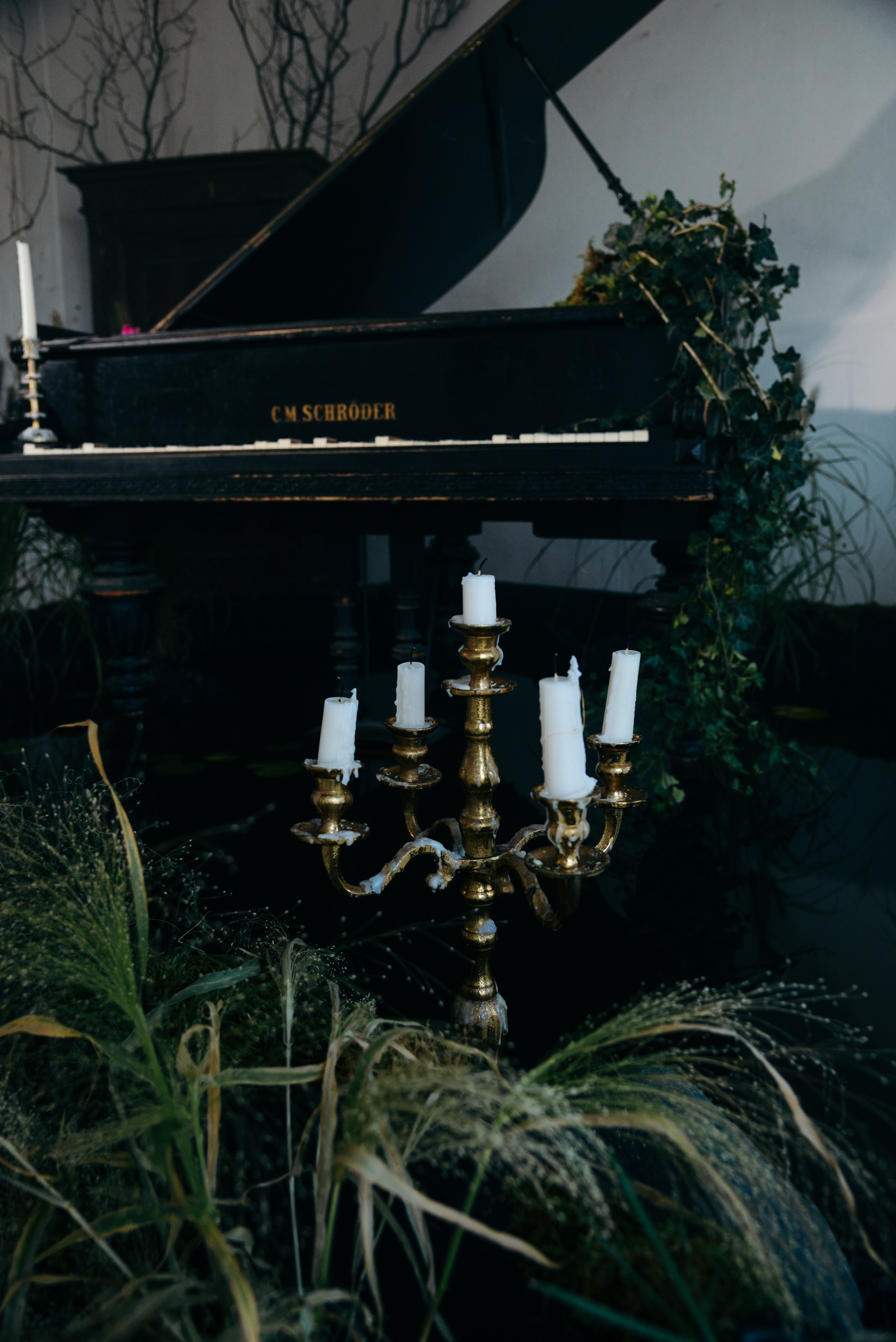 Симфония музыки. Фотограф Ярута Оксана / Ростов-на-Дону