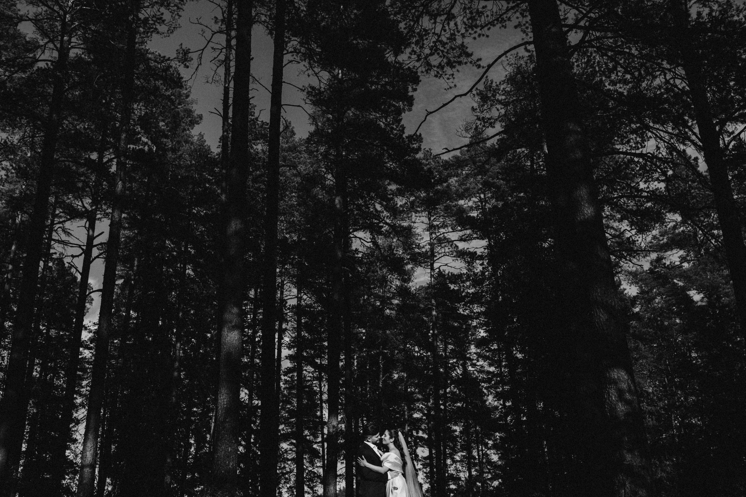 Владислав & Марина. ФОТОГРАФ РОЗА ФИЛИНА СПб I МОСКВА