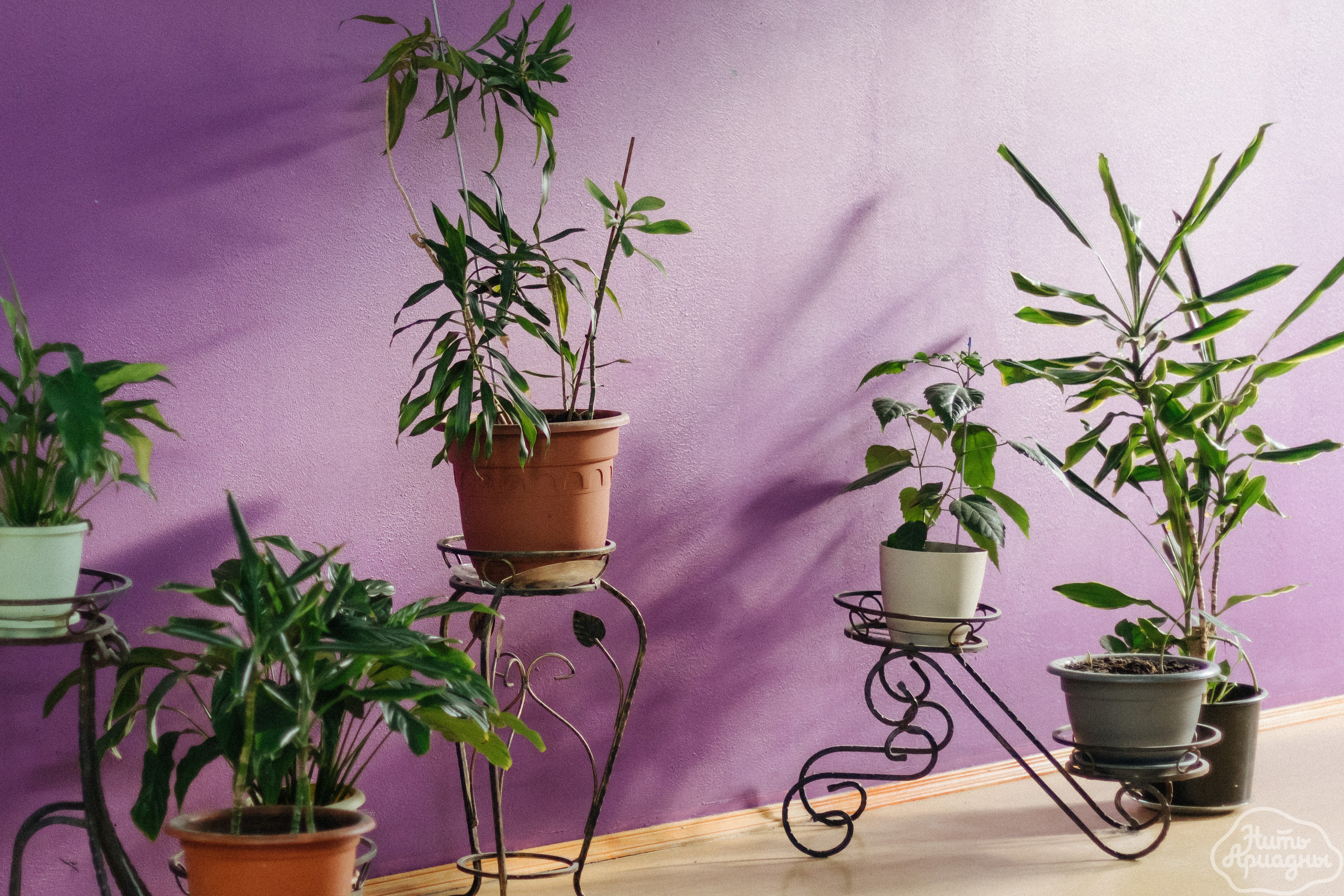 Детские мероприятия (квесты, лагеря, вечеринки). Коммерческий фотограф в Санкт-Петербурге (СПб) Екатерина Панчёха, Панчёшка