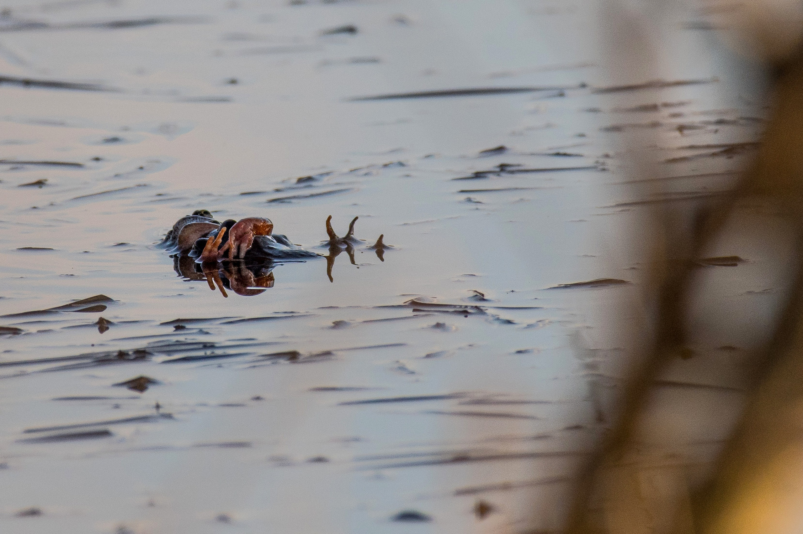 Фотоохота. Репортажный фотограф в Ижевске Константин Ившин