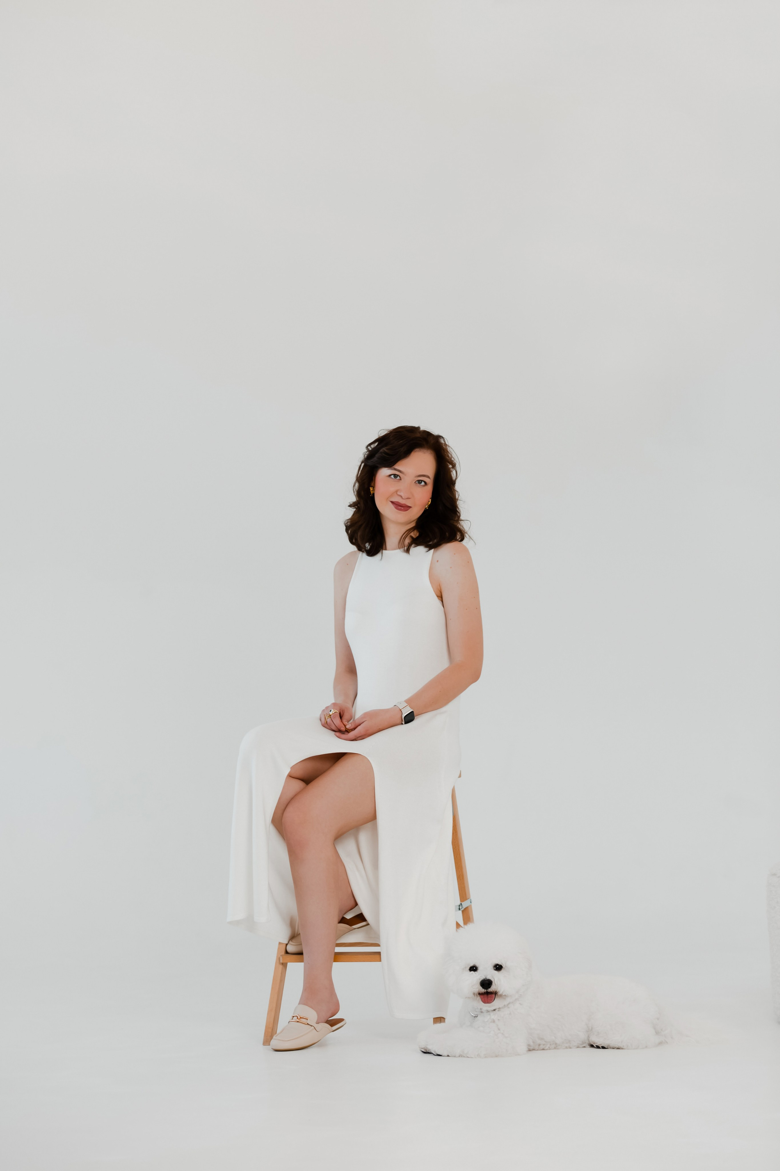 Бишон-фризе. Фотограф-анималист в Краснодаре Маша Мельникова