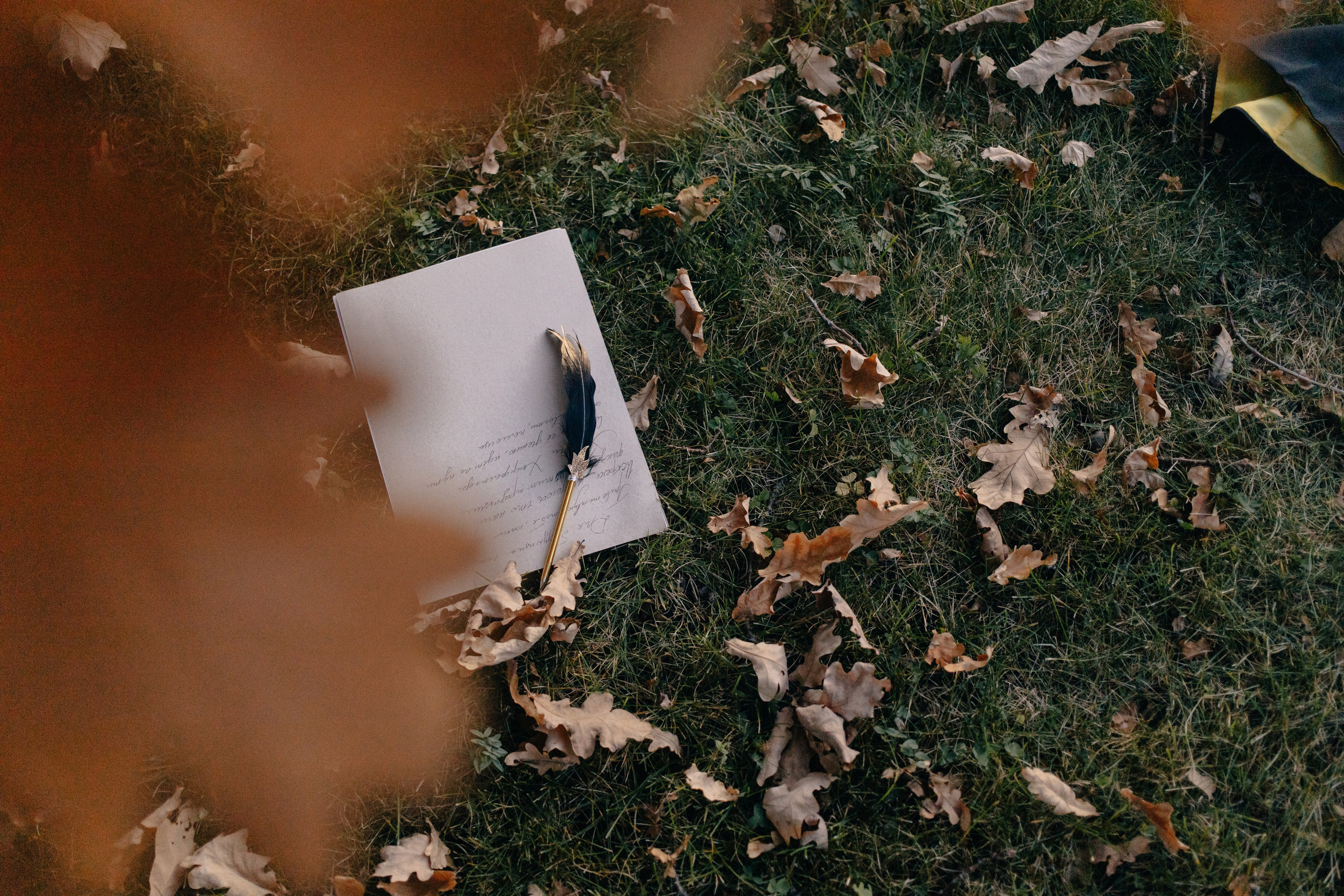 Хогвартс. Репортажный фотограф Анастасия Головко