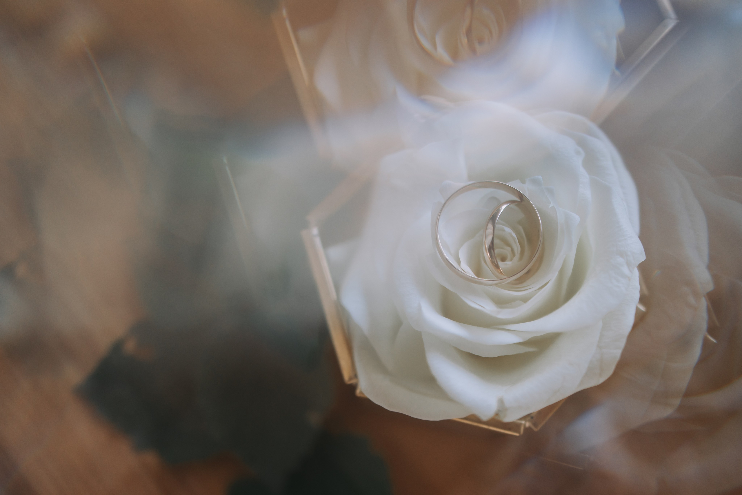 София и Петр. Репортажный фотограф Анастасия Головко