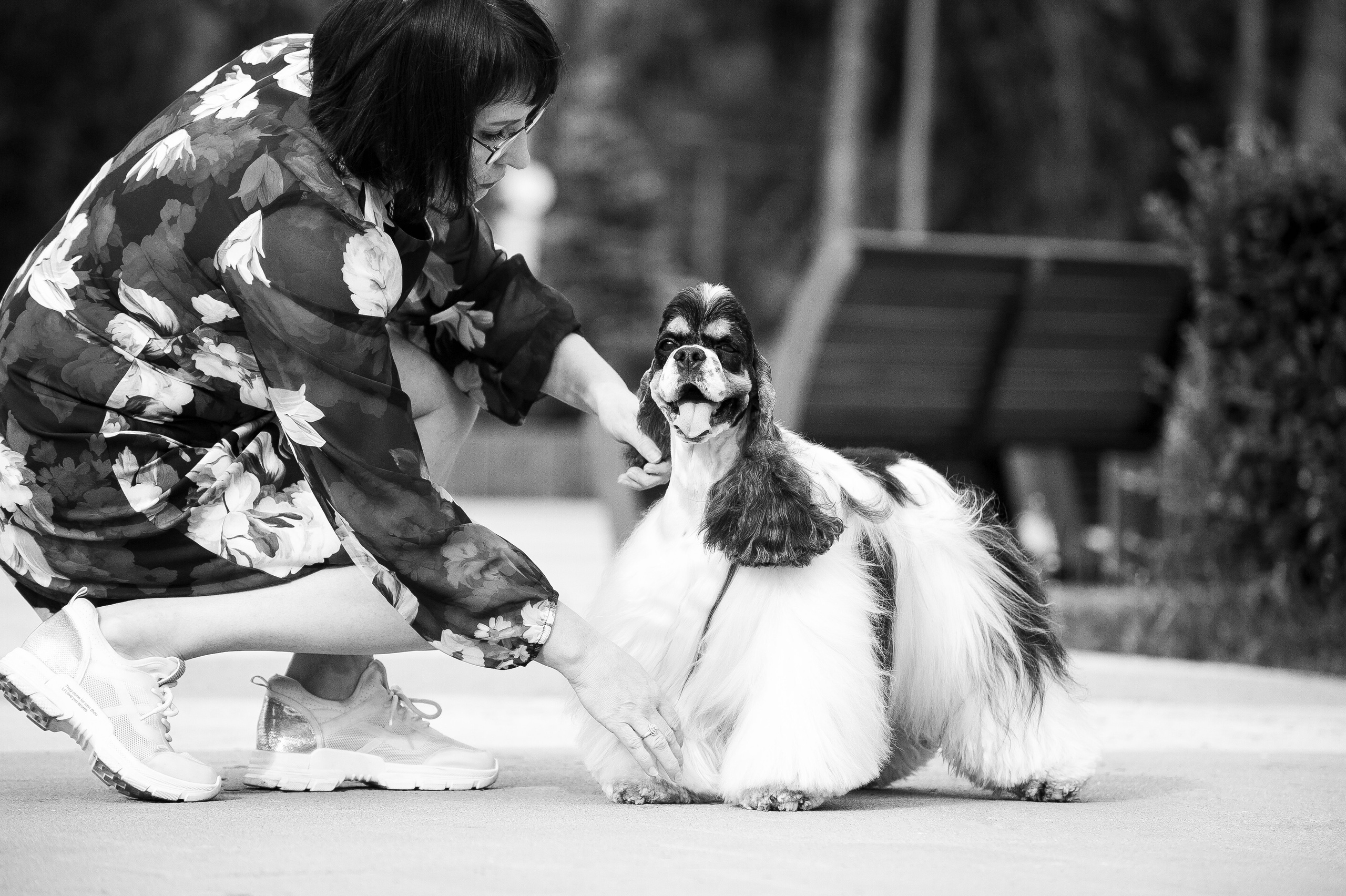 Анималистика. Фотограф Аверич Полина|Санкт-Петербург