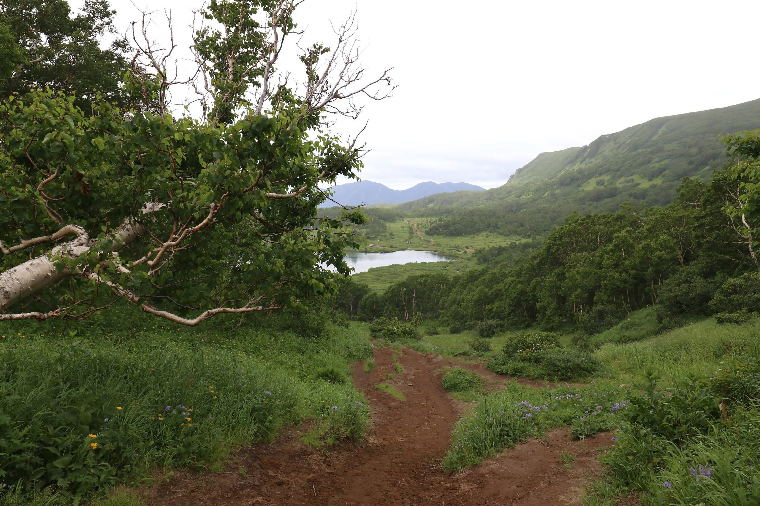 Камчатка и о. Парамушир. Июль 2024. Путешественник-фотограф из Санкт-Петербурга Татьяна Свистулина