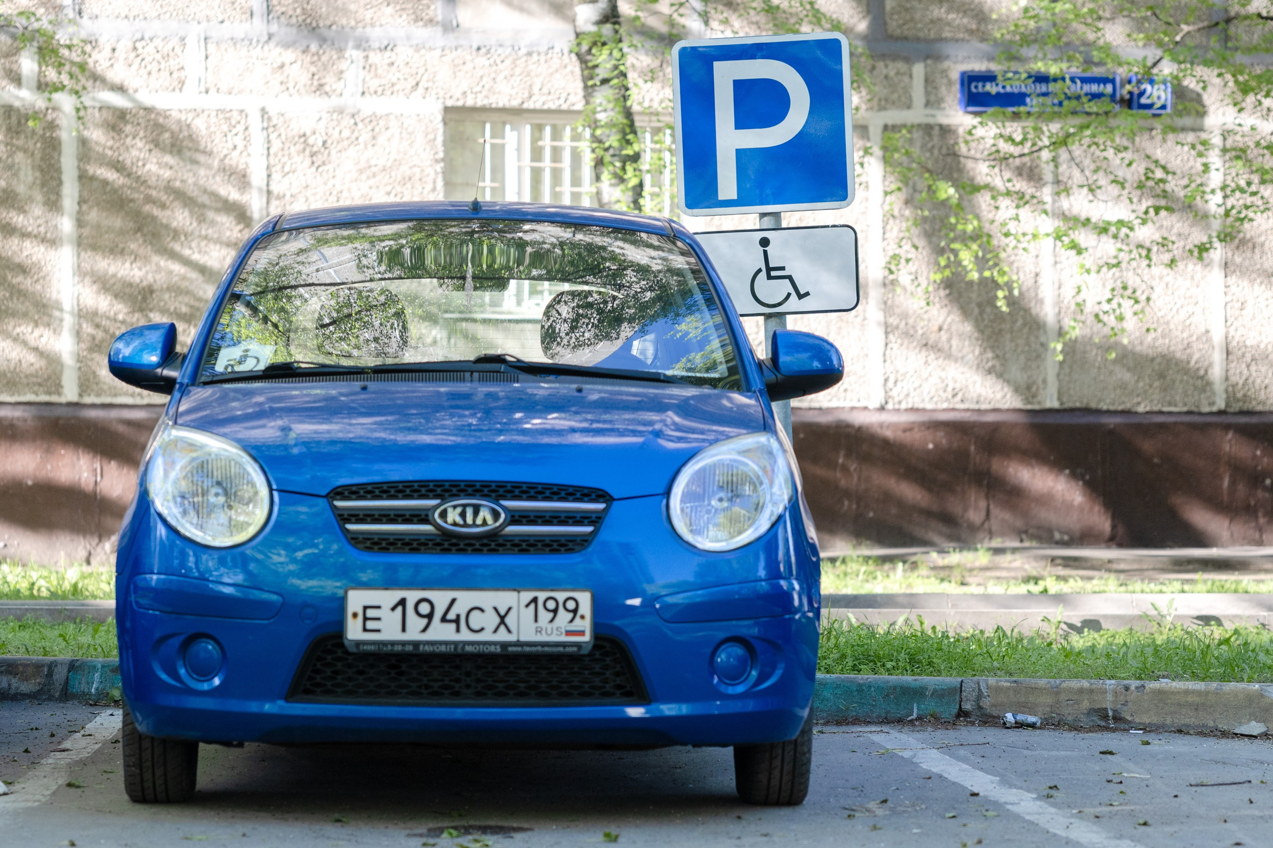 Мимикрия (Городской камуфляж). Фотограф Владимир Охрименко