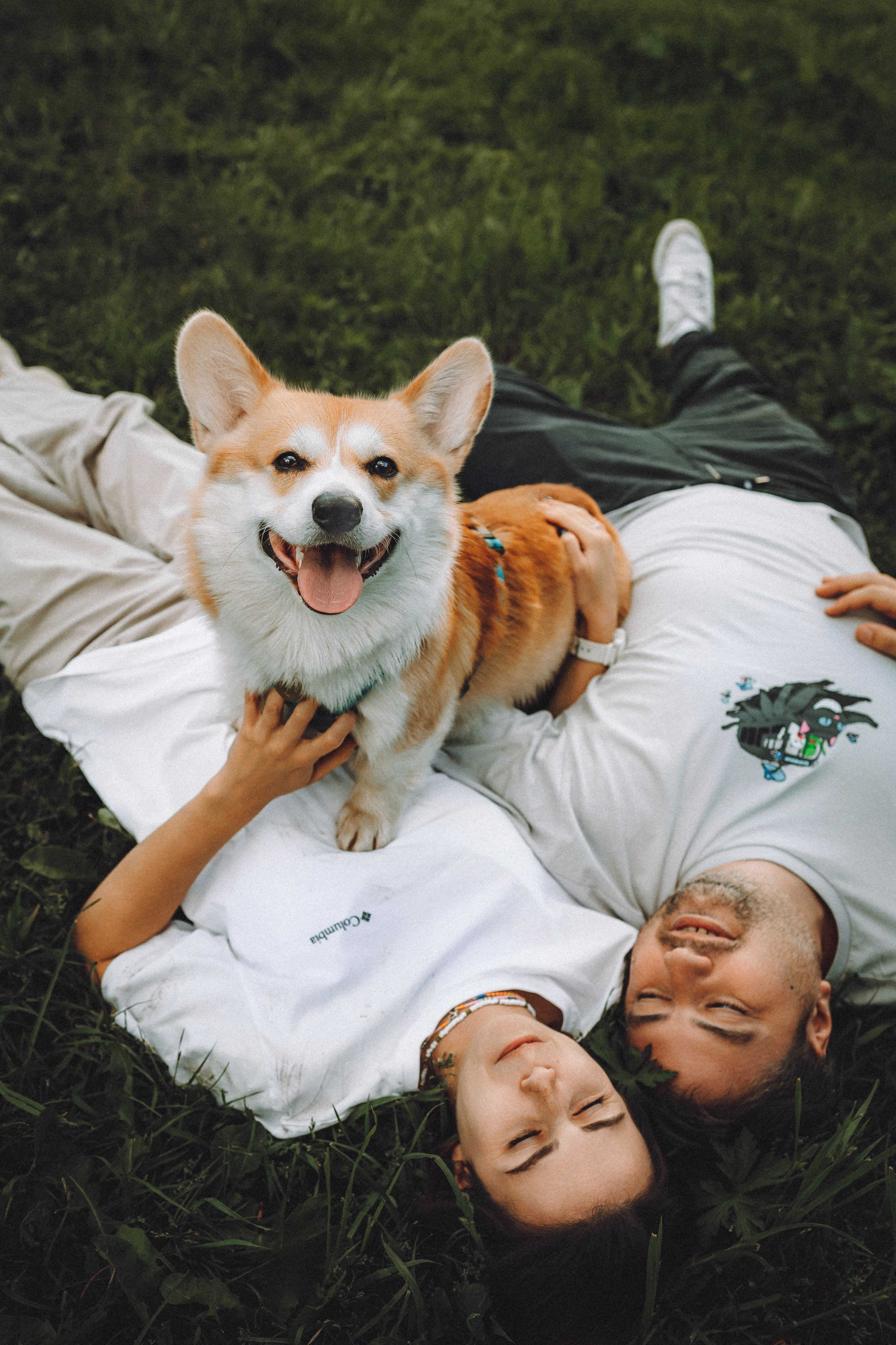 Вирджик и его семья