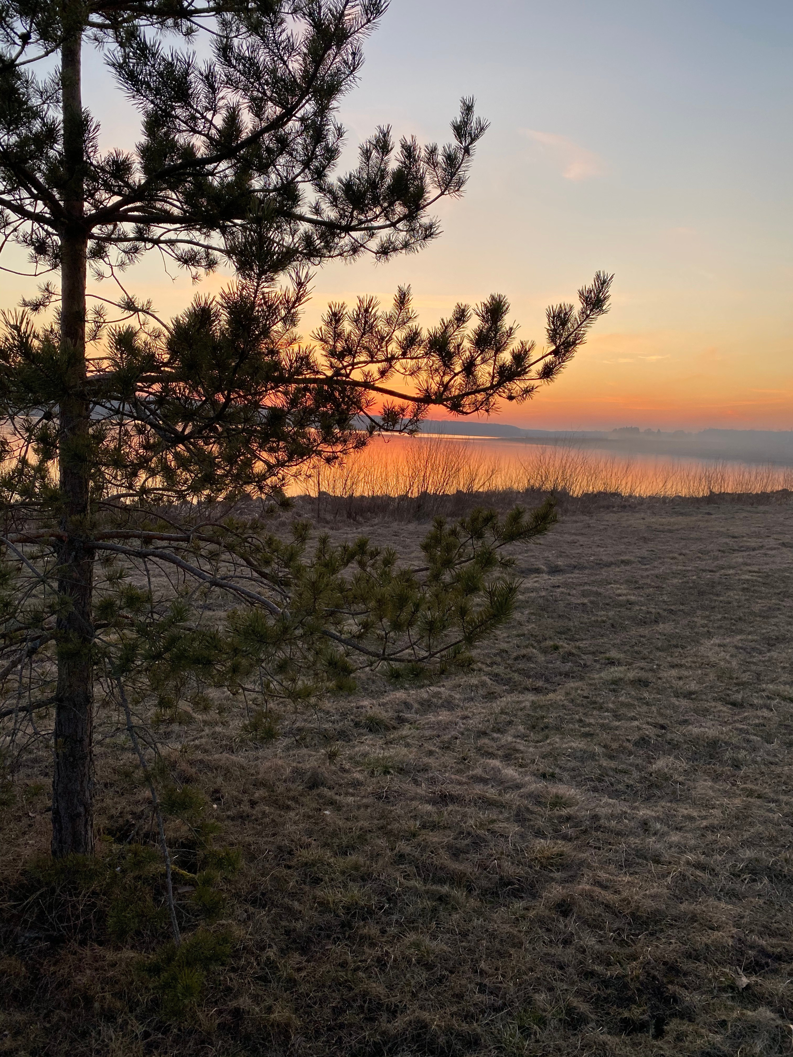 Осетрово — 20. Своя Мастерская