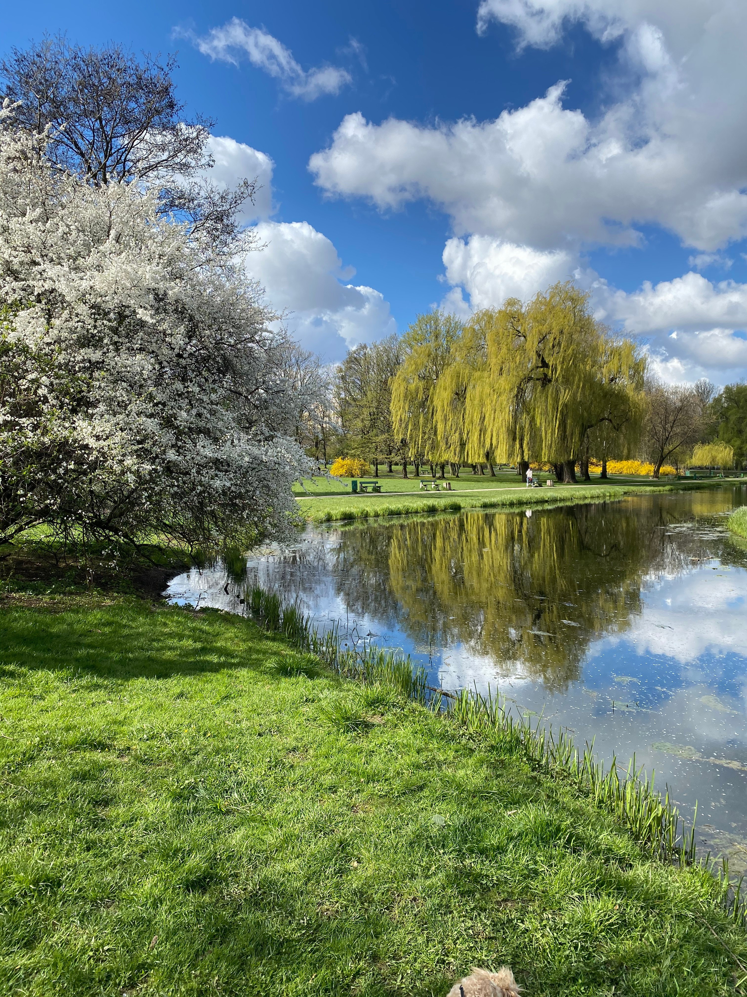 Варшава — 21. Своя Мастерская