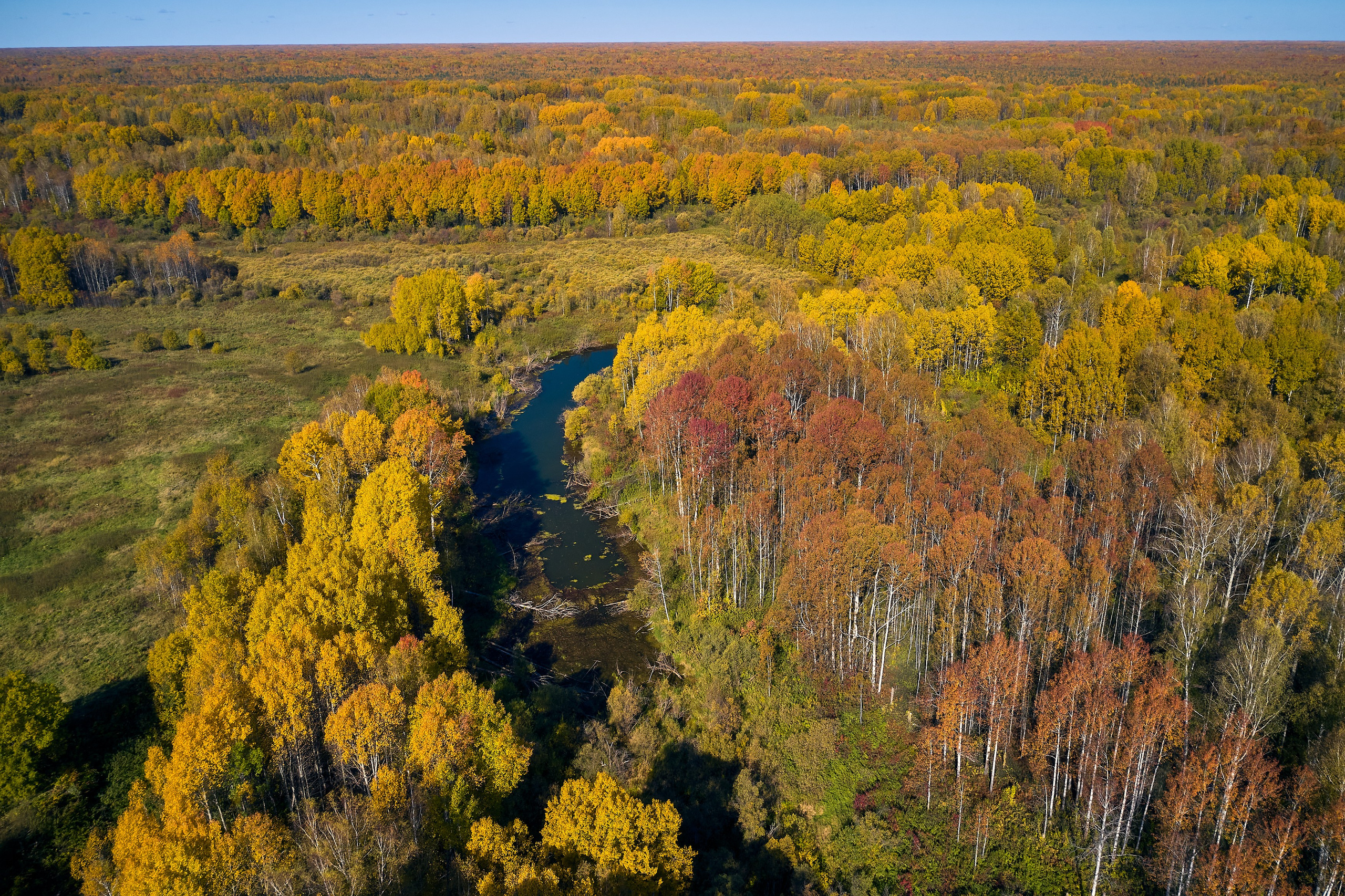 Съемка в полете. DMITRY MOISEENKO — фотограф, художник, топ-стилист