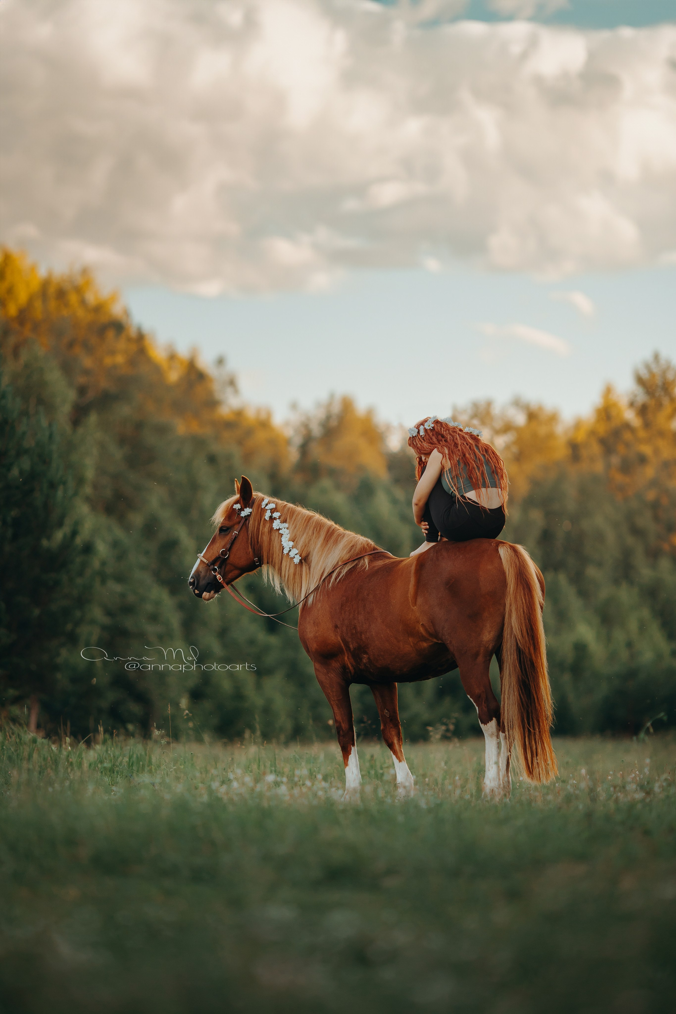 Анна Молчанова конный фотограф в Тюмени | фотосессии с лошадьми Тюмень