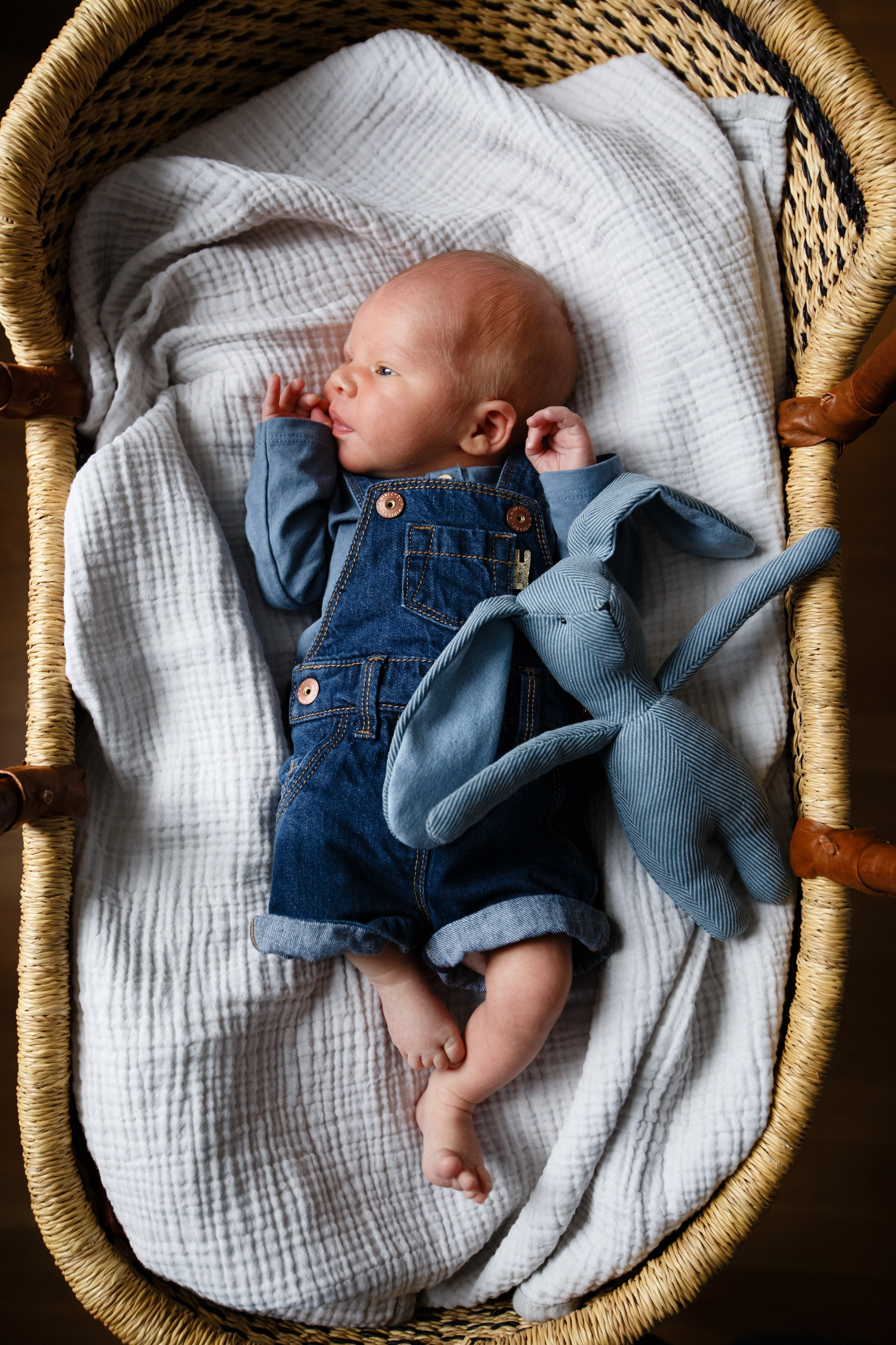 Даня. Семейный фотограф Фрязино Зрячева Кристина