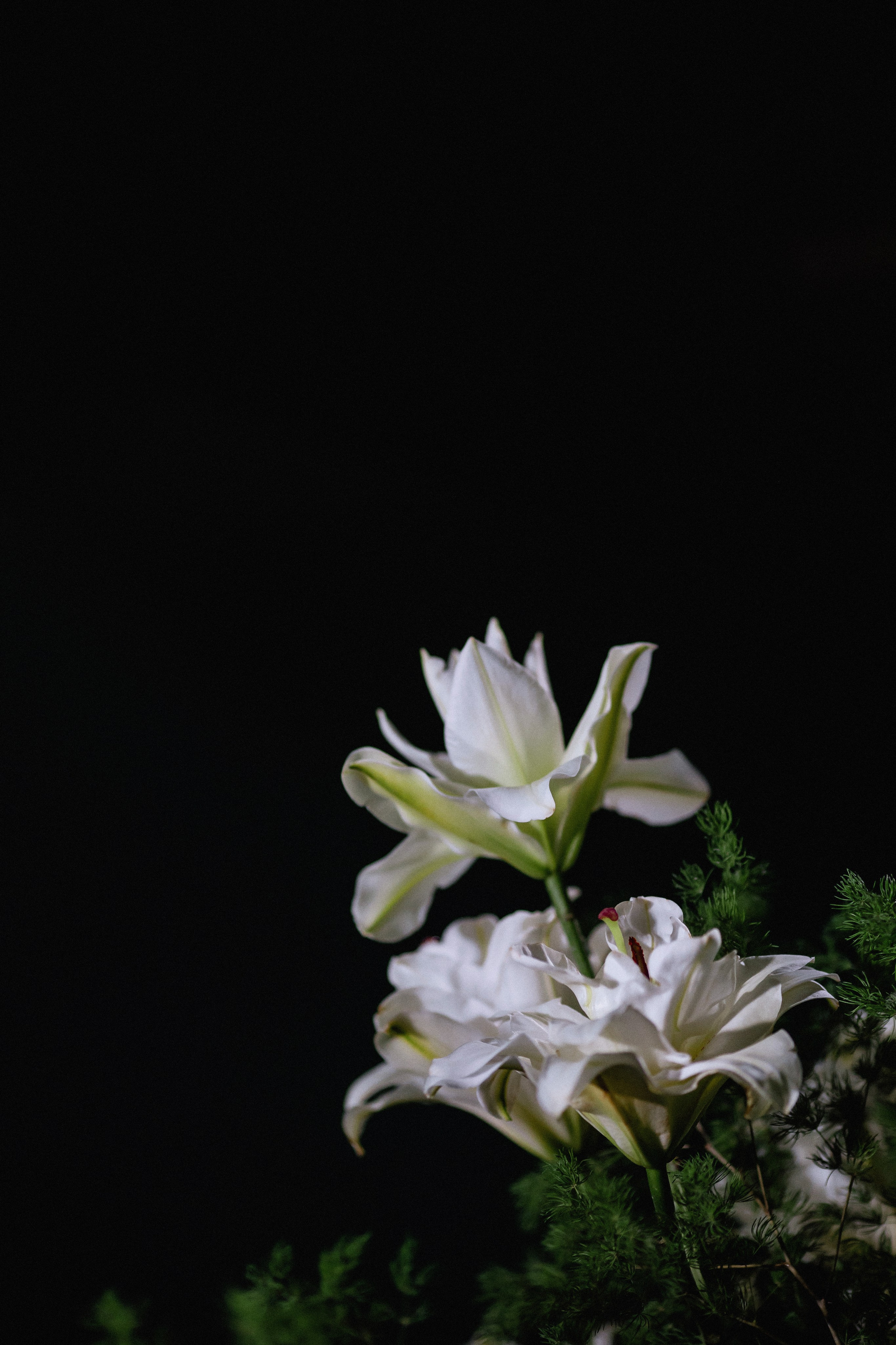 «День, когда все началось»…. Свадебный фотограф Сочи Москва Дубай Снежана Магрин