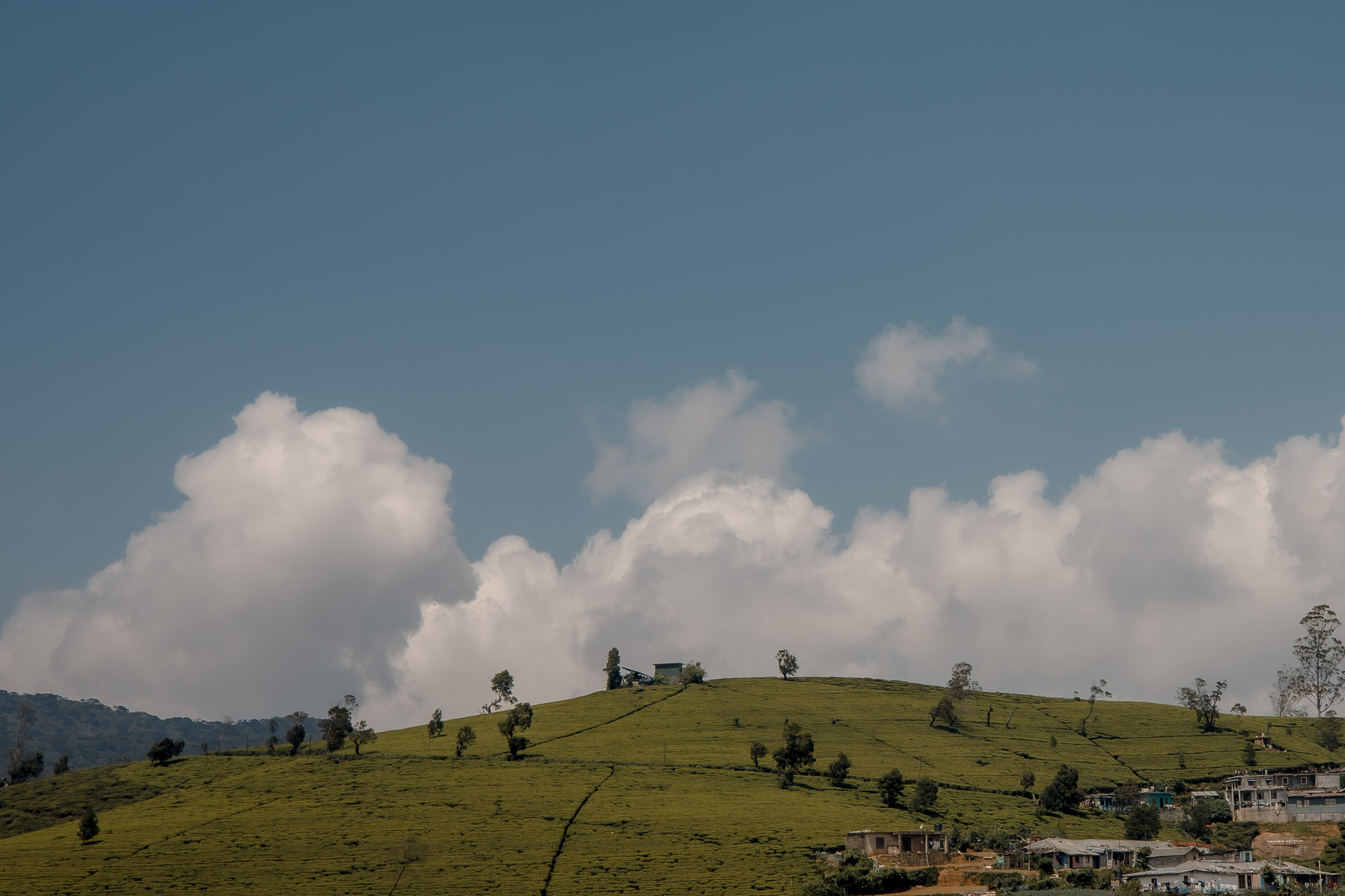 Sri Lanka, Nuwara Elia 2026. Art Photographer