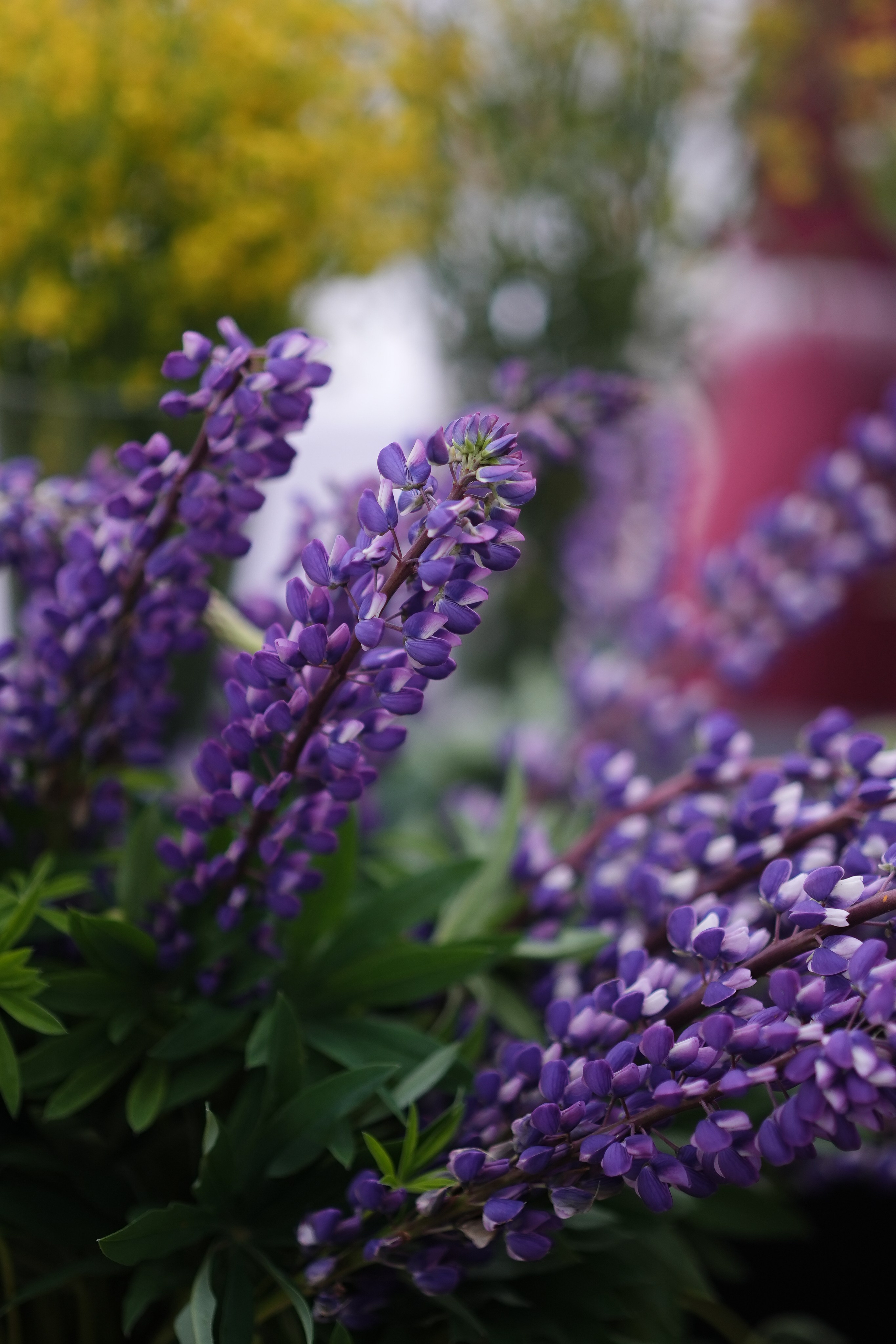 GASTREET. Фотограф. Москва