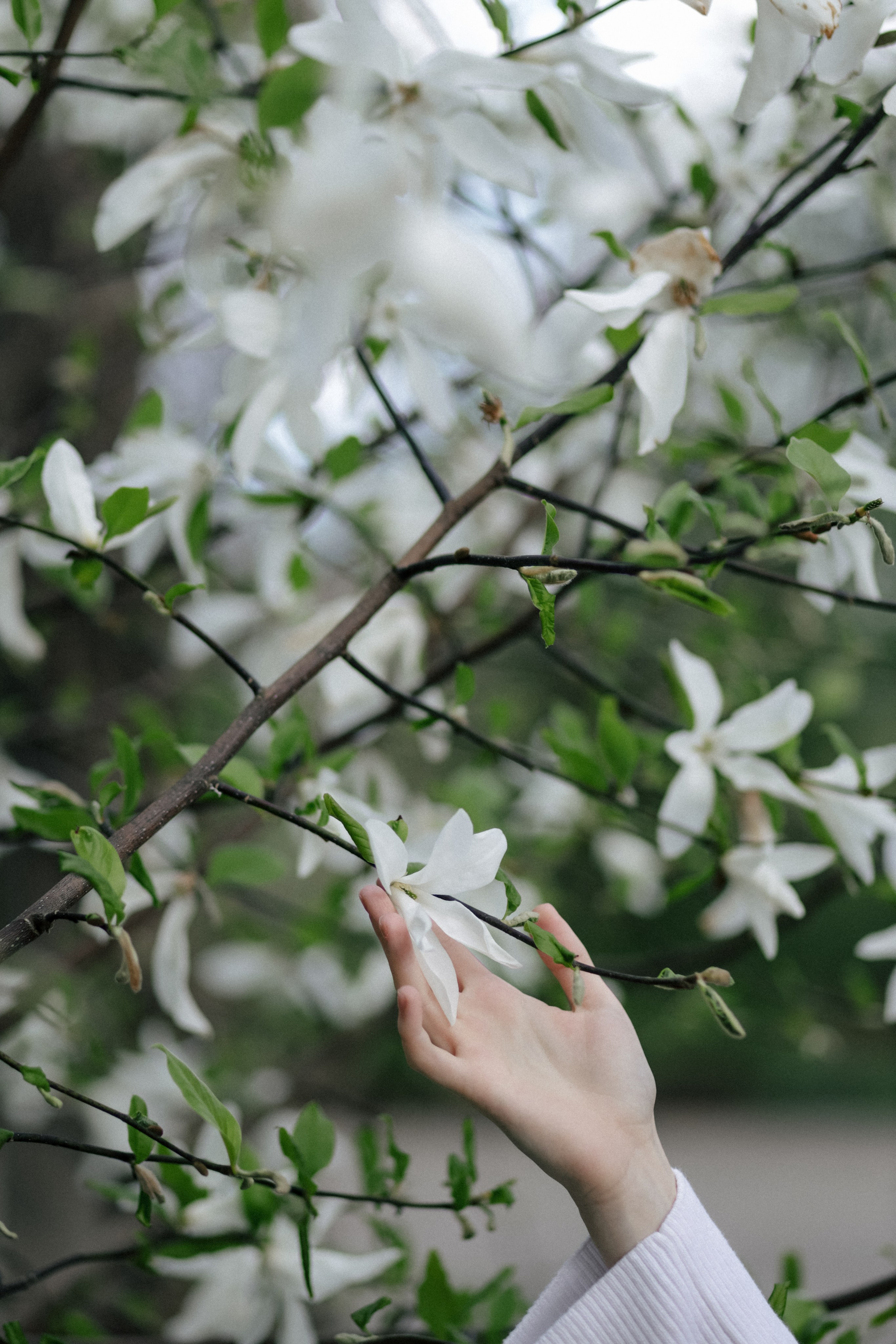 Цвет города. Свадебный и семейный фотограф в Варшаве